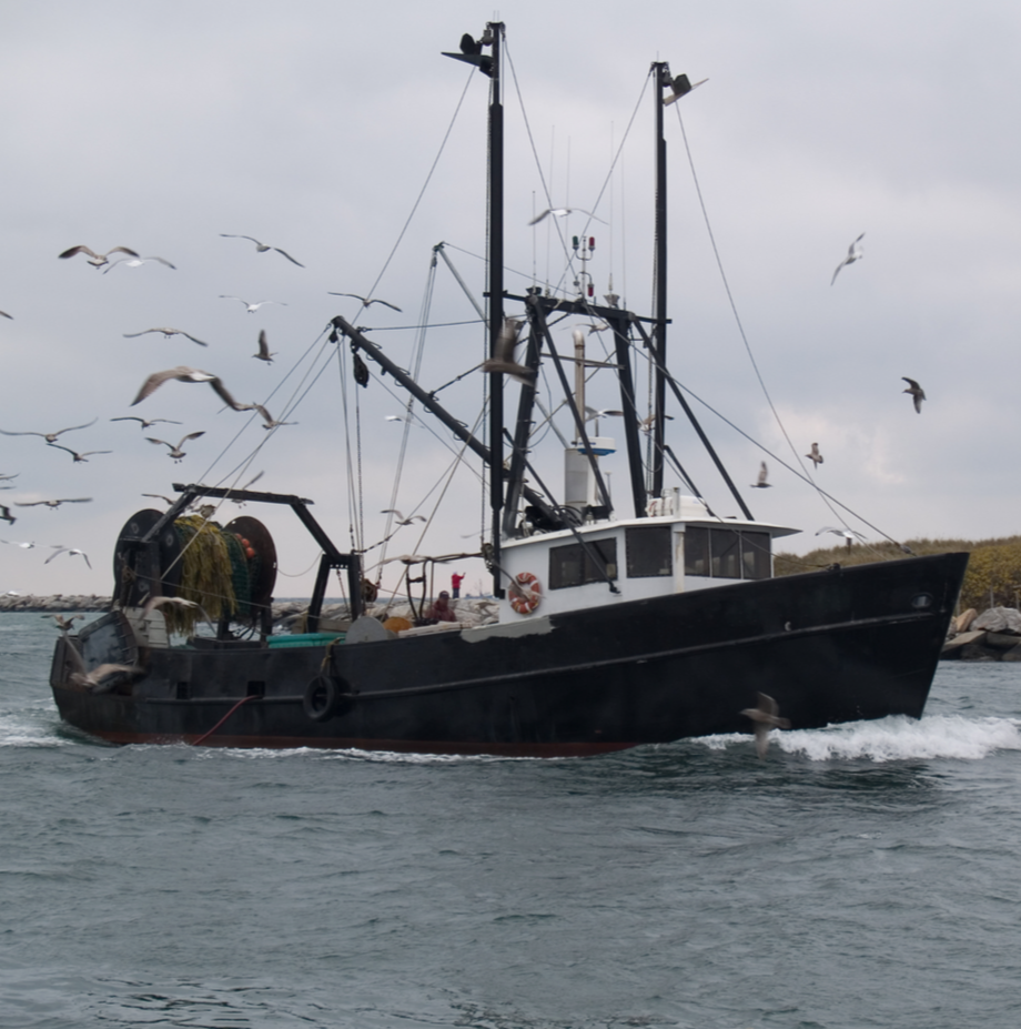 A fishing boat sailing in the water with seagulls flying around under a cloudy sky.