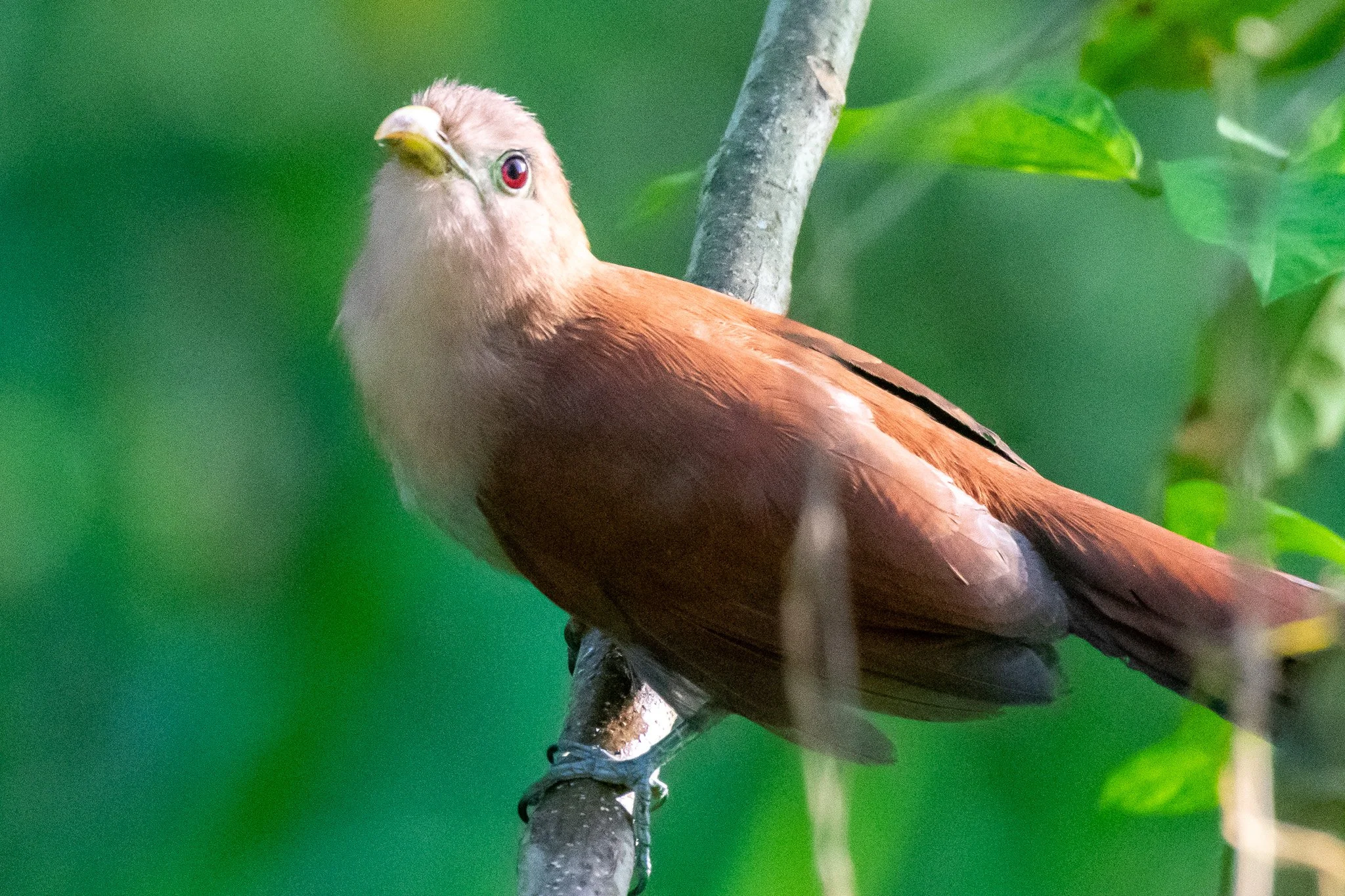 DSC_5684.jpg