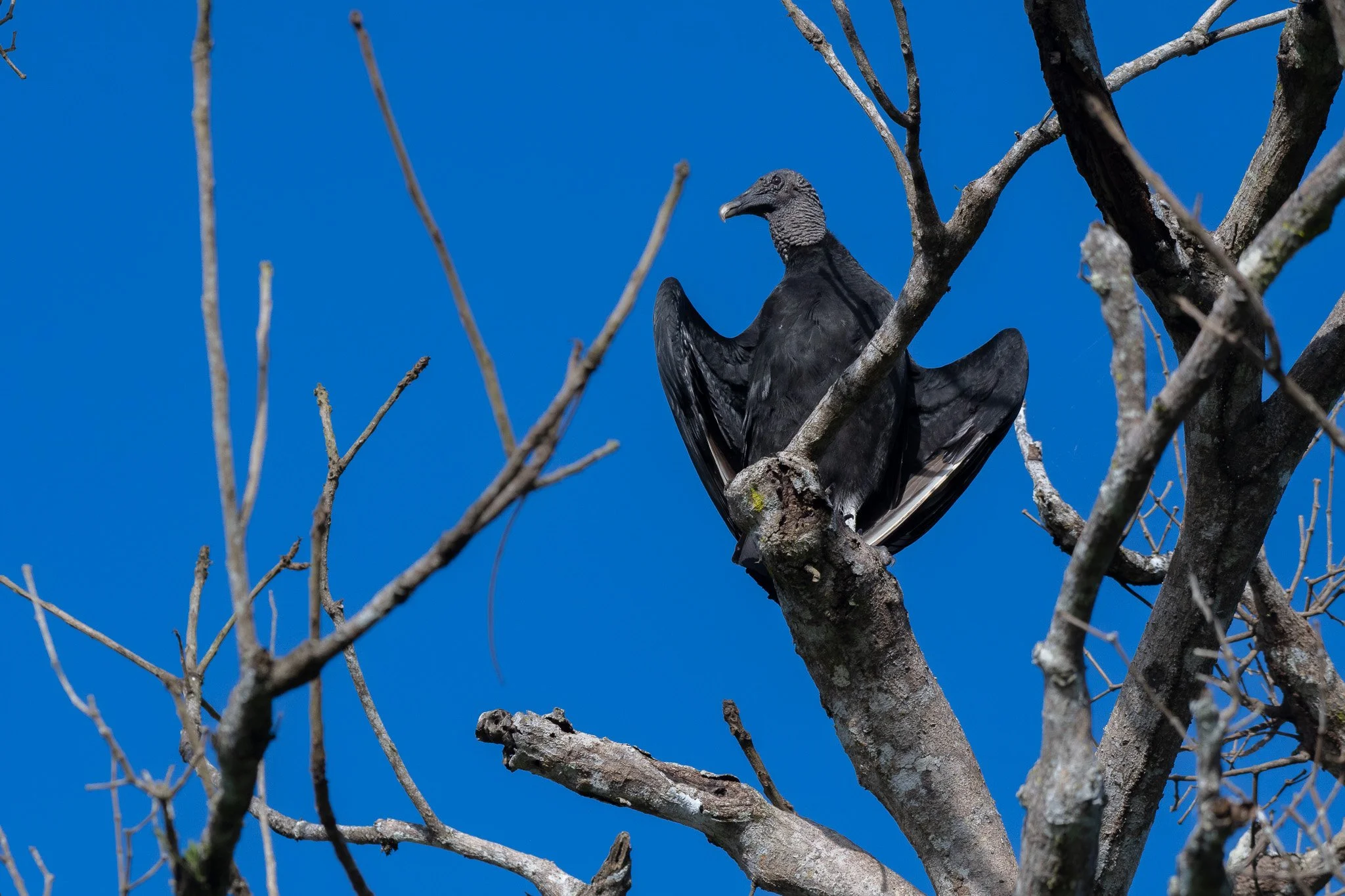 DSC_5839.jpg