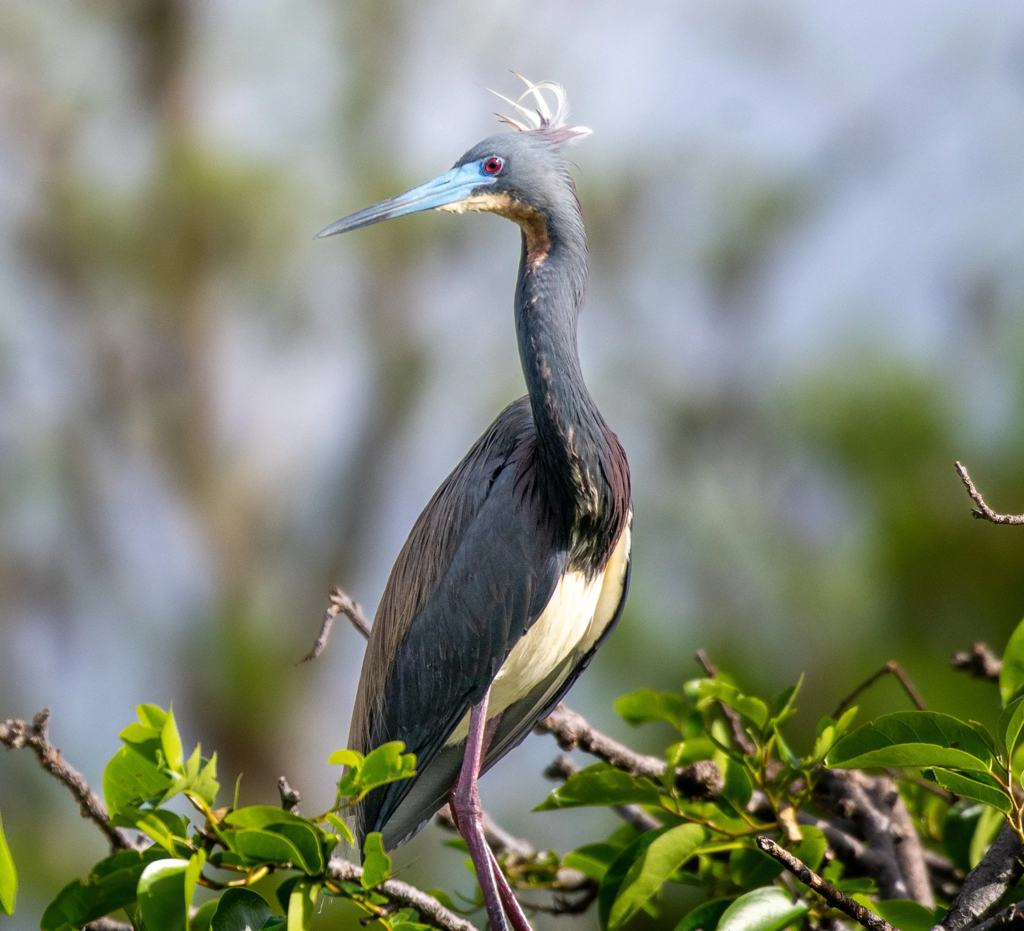 DSC_6155.jpg