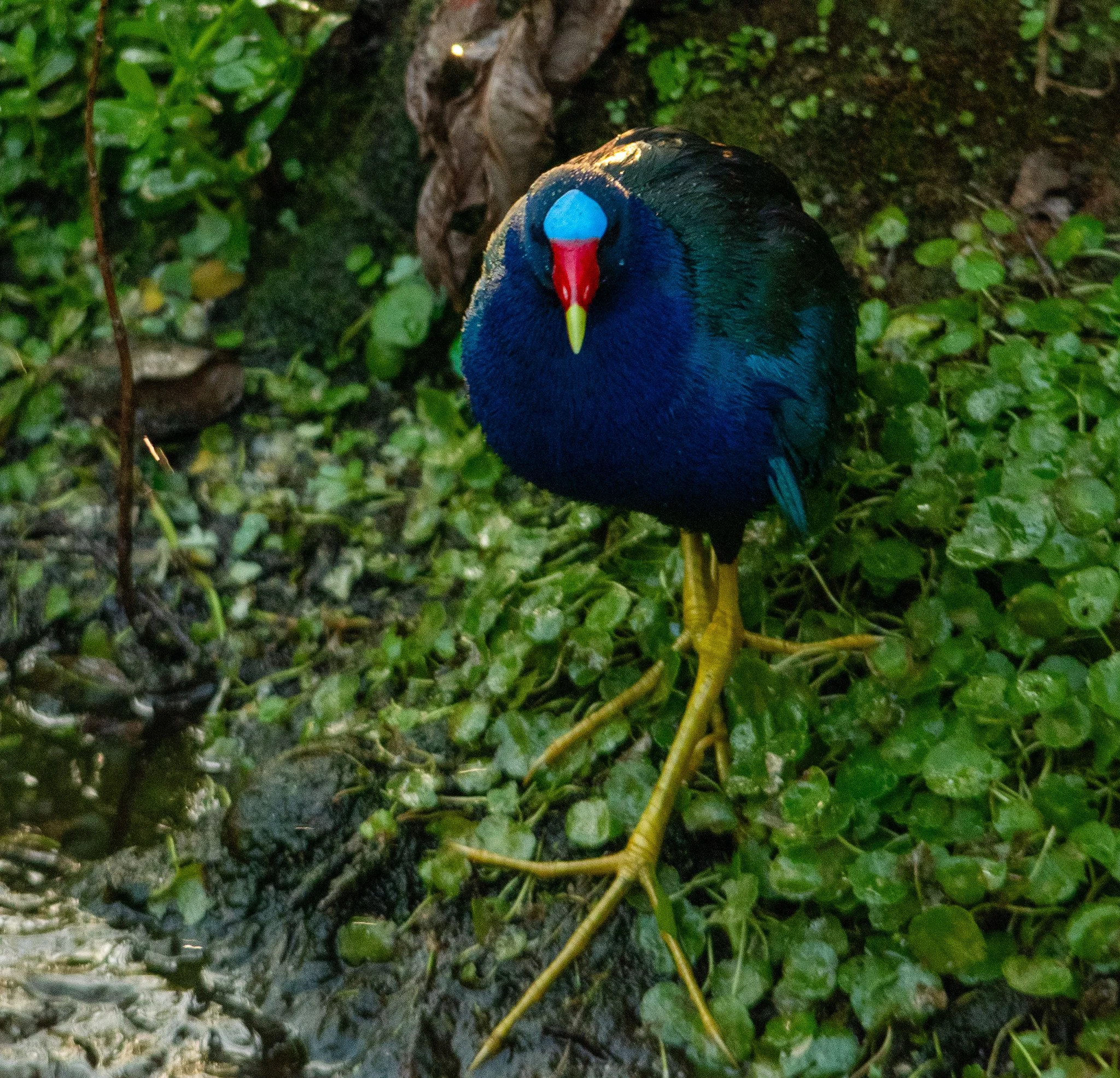 _DSC3290.jpg