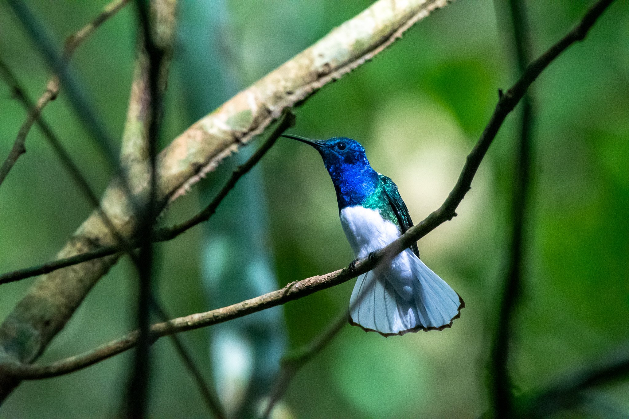 DSC_6111.jpg
