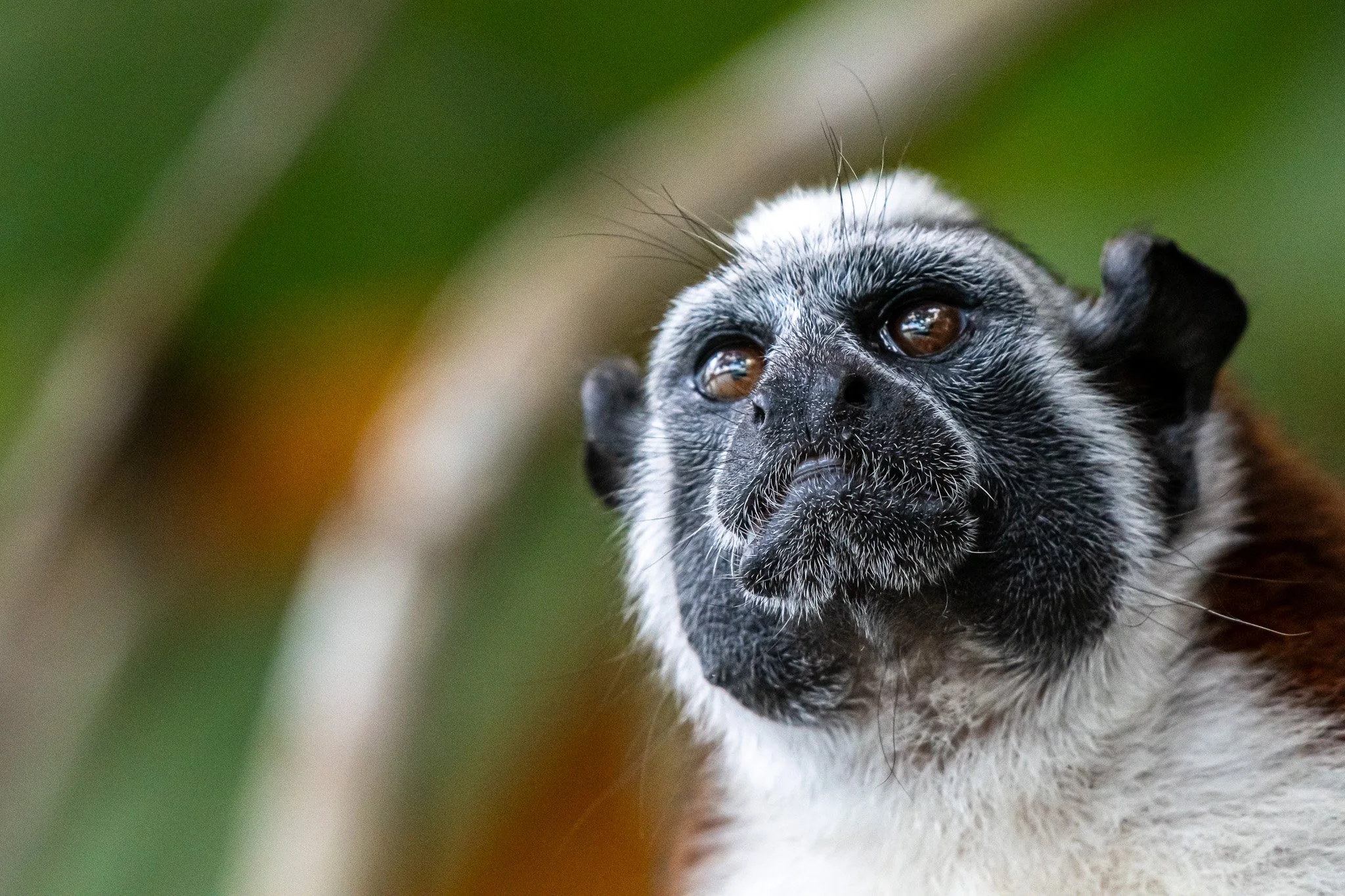 Panama
