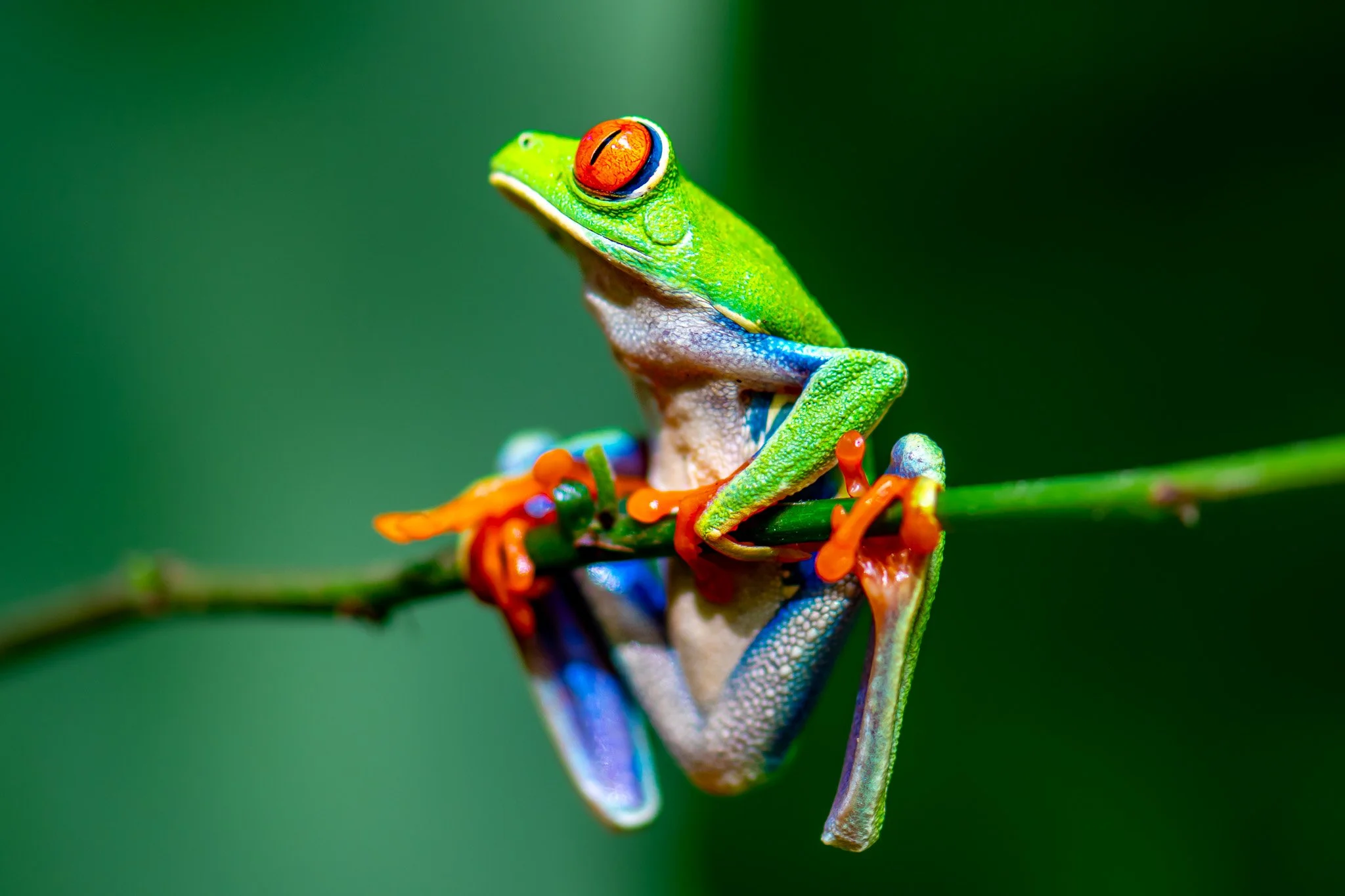 Costa Rica
