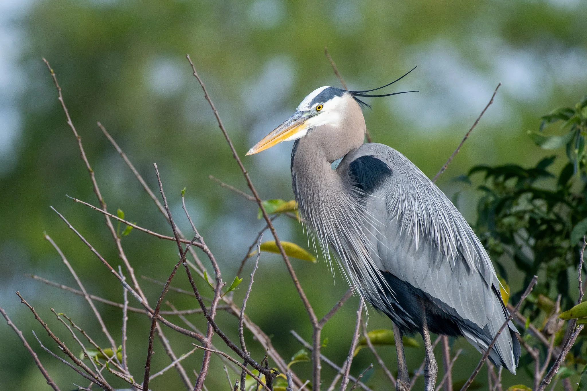 DSC_1752.jpg