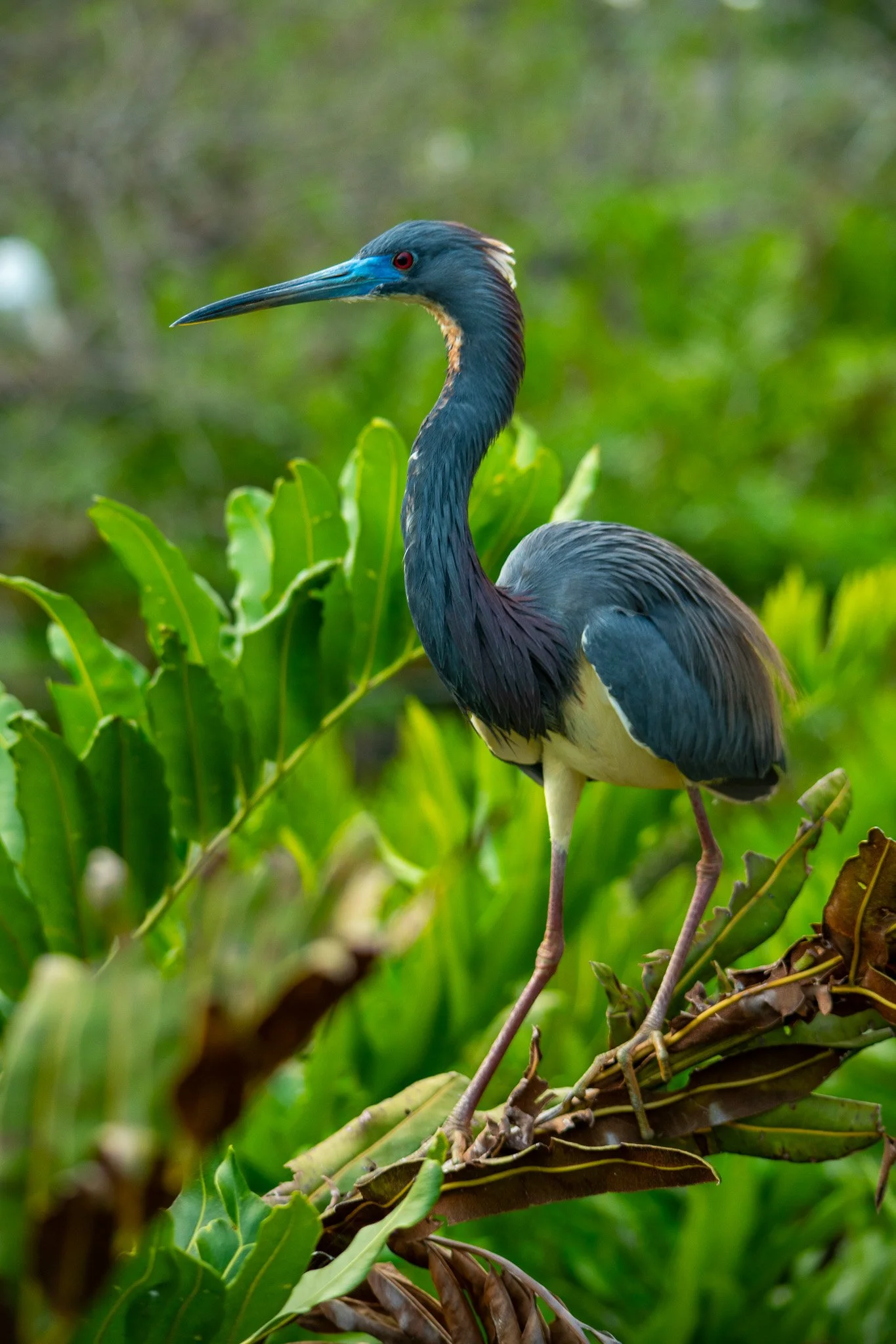 South Florida