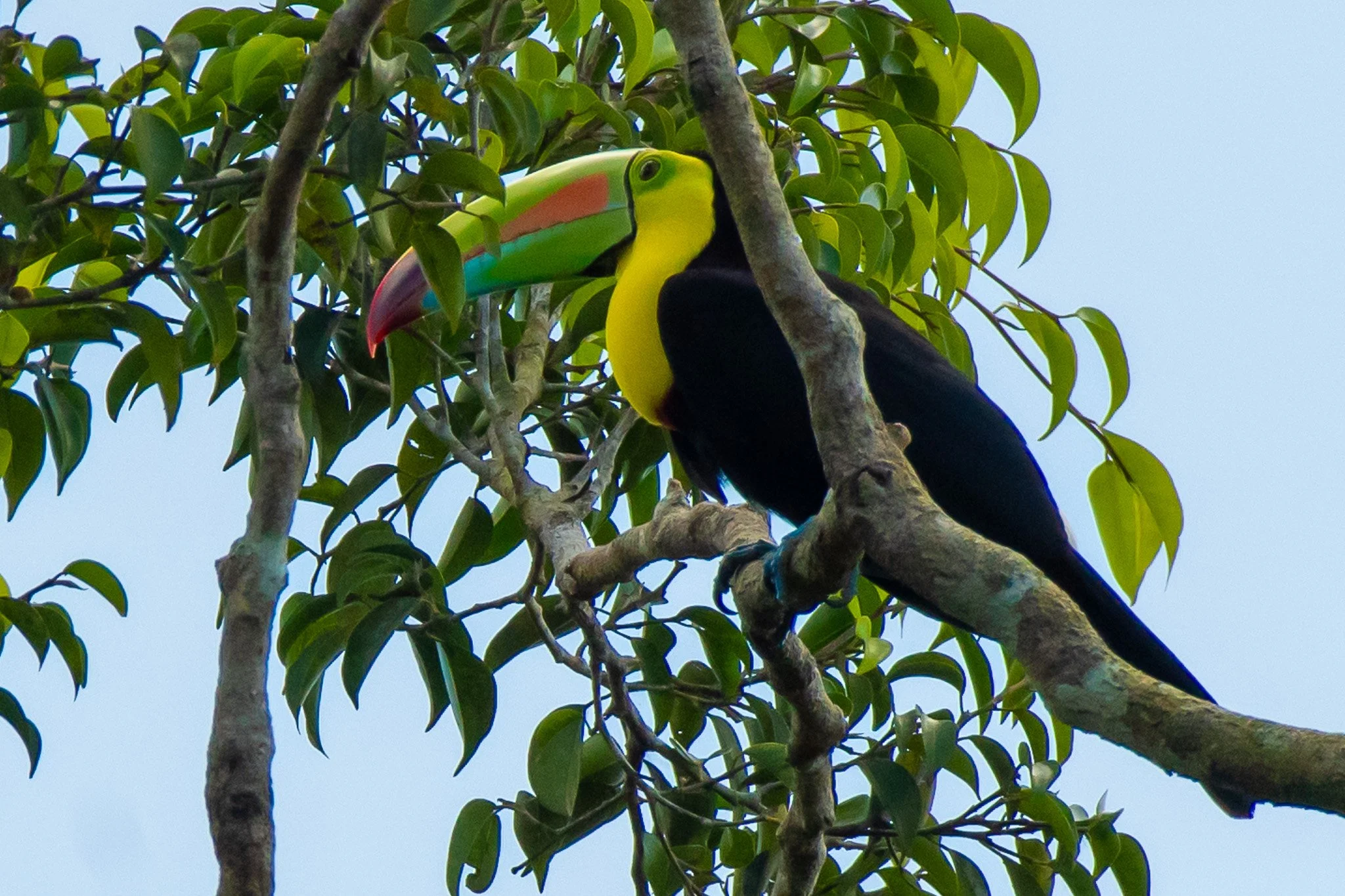 DSC_6123.jpg