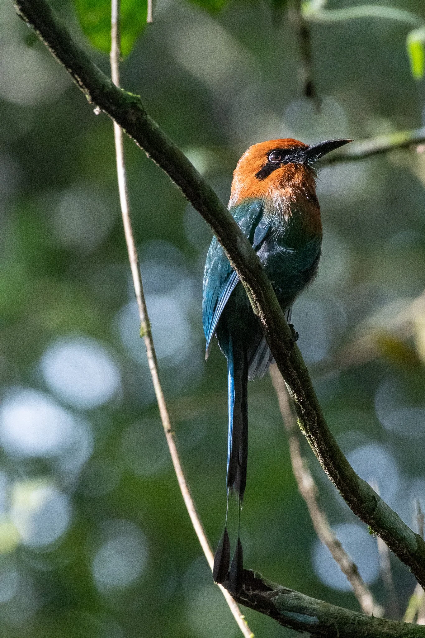 DSC_5985.jpg