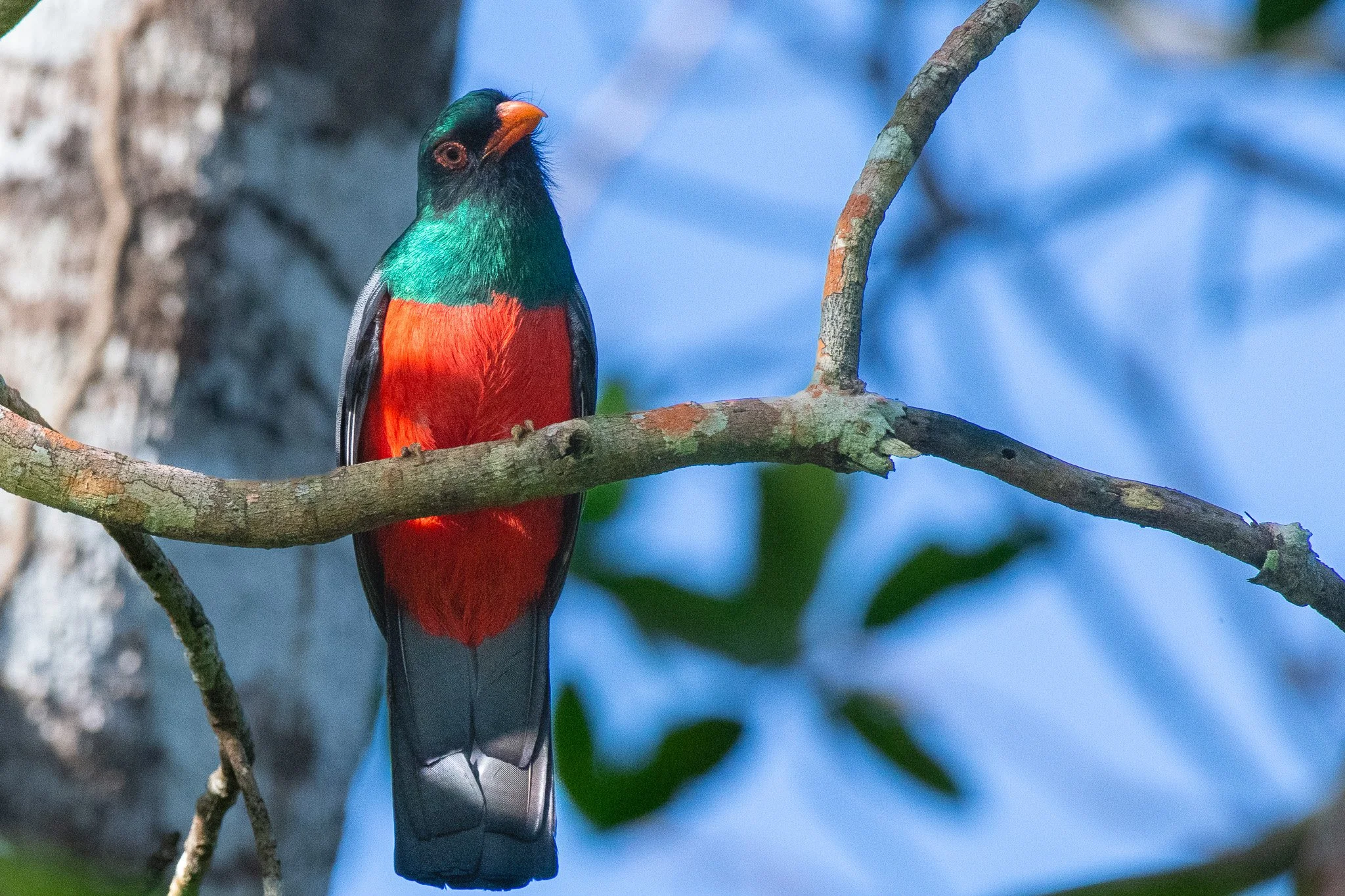 DSC_5744.jpg