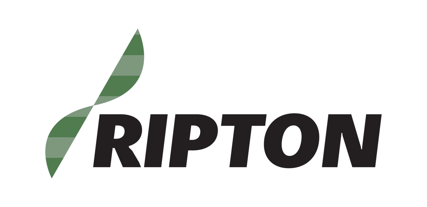 Ripton Internet