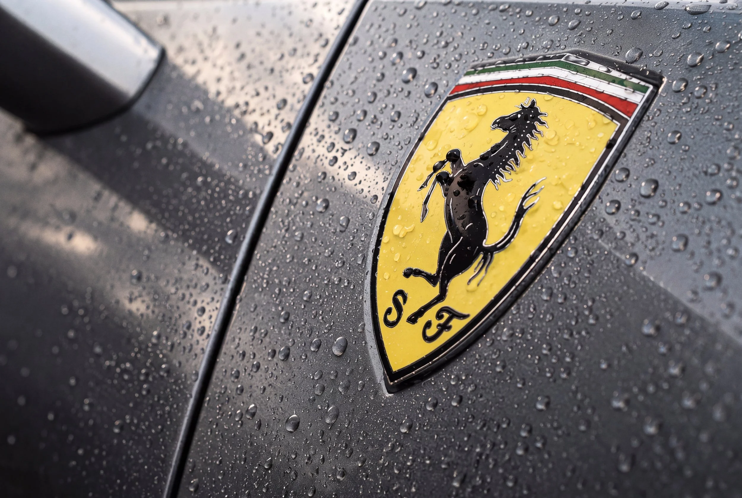 FERARRI0004 (unprocessed).jpg