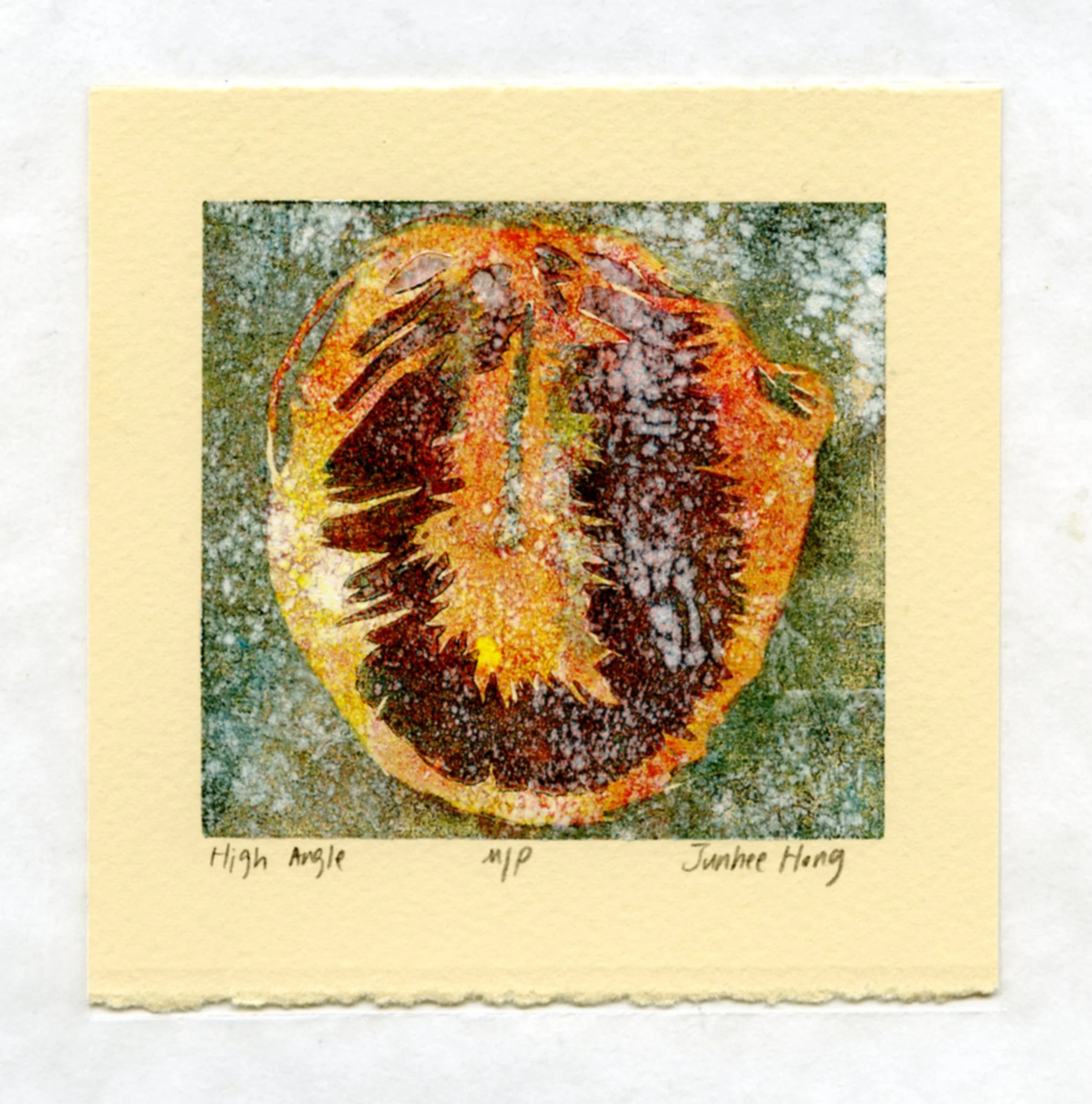 High Angle

2024

woodcut on paper

2.5"x2.5"