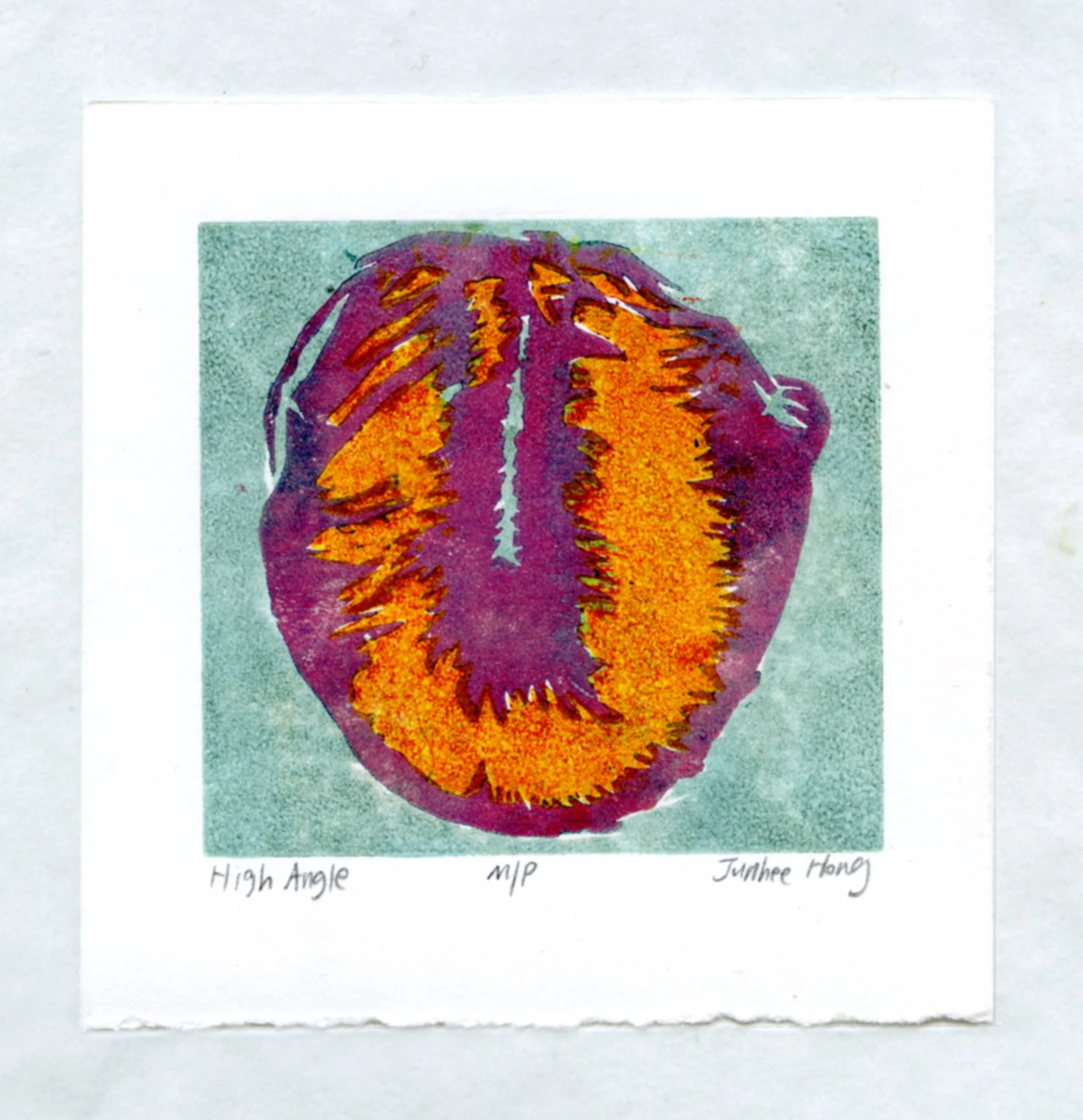 High Angle

2024

woodcut on paper

2.5"x2.5"