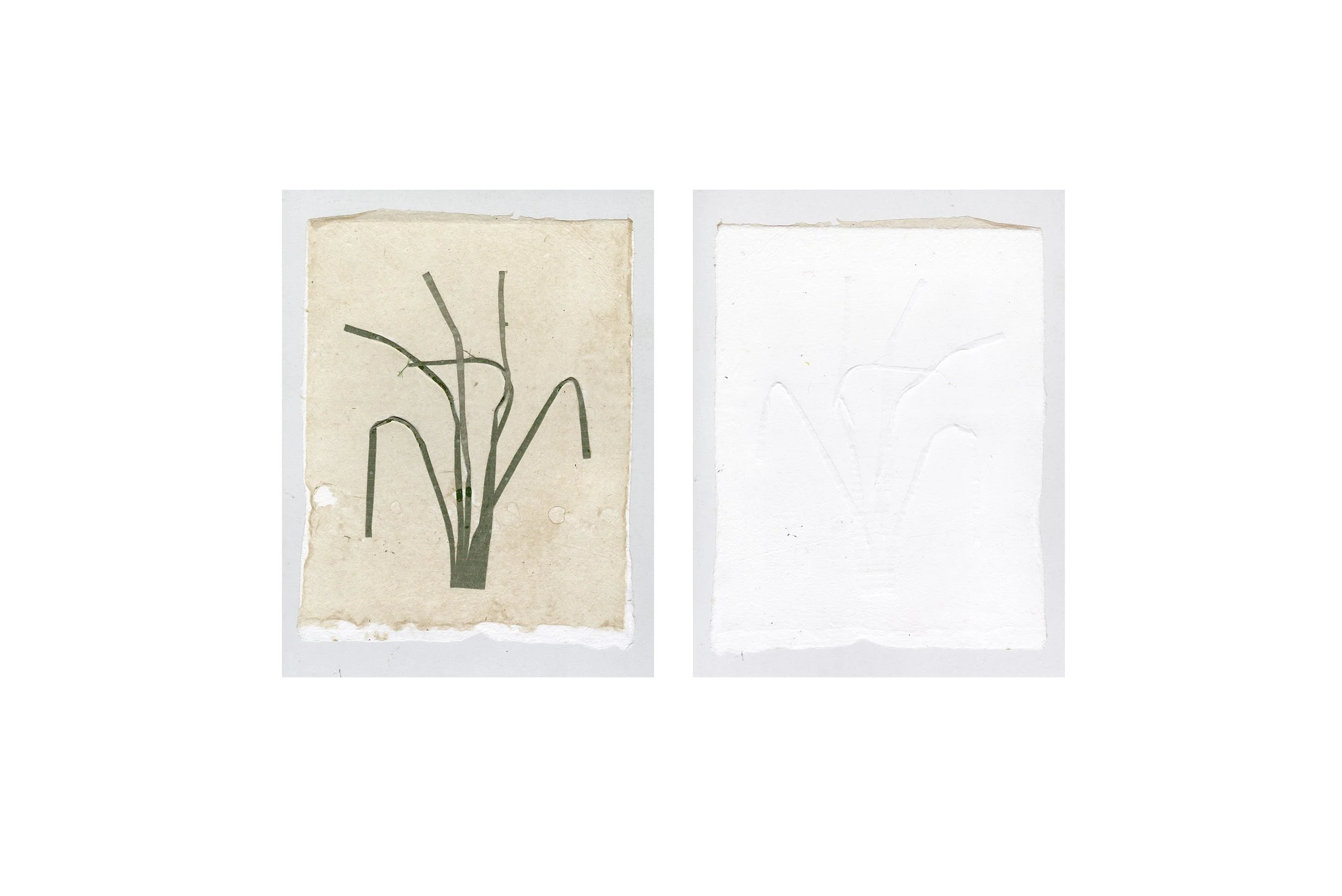 Paper Fabric Collision

2024

fabric pieces on handmade cotton/abaca skin paper

8"x10"