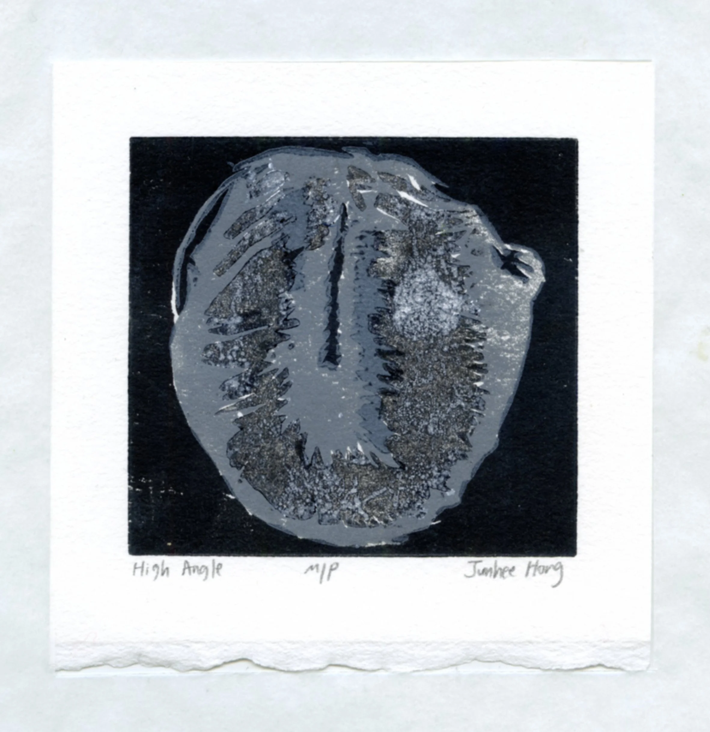 High Angle

2024

woodcut on paper

2.5"x2.5"