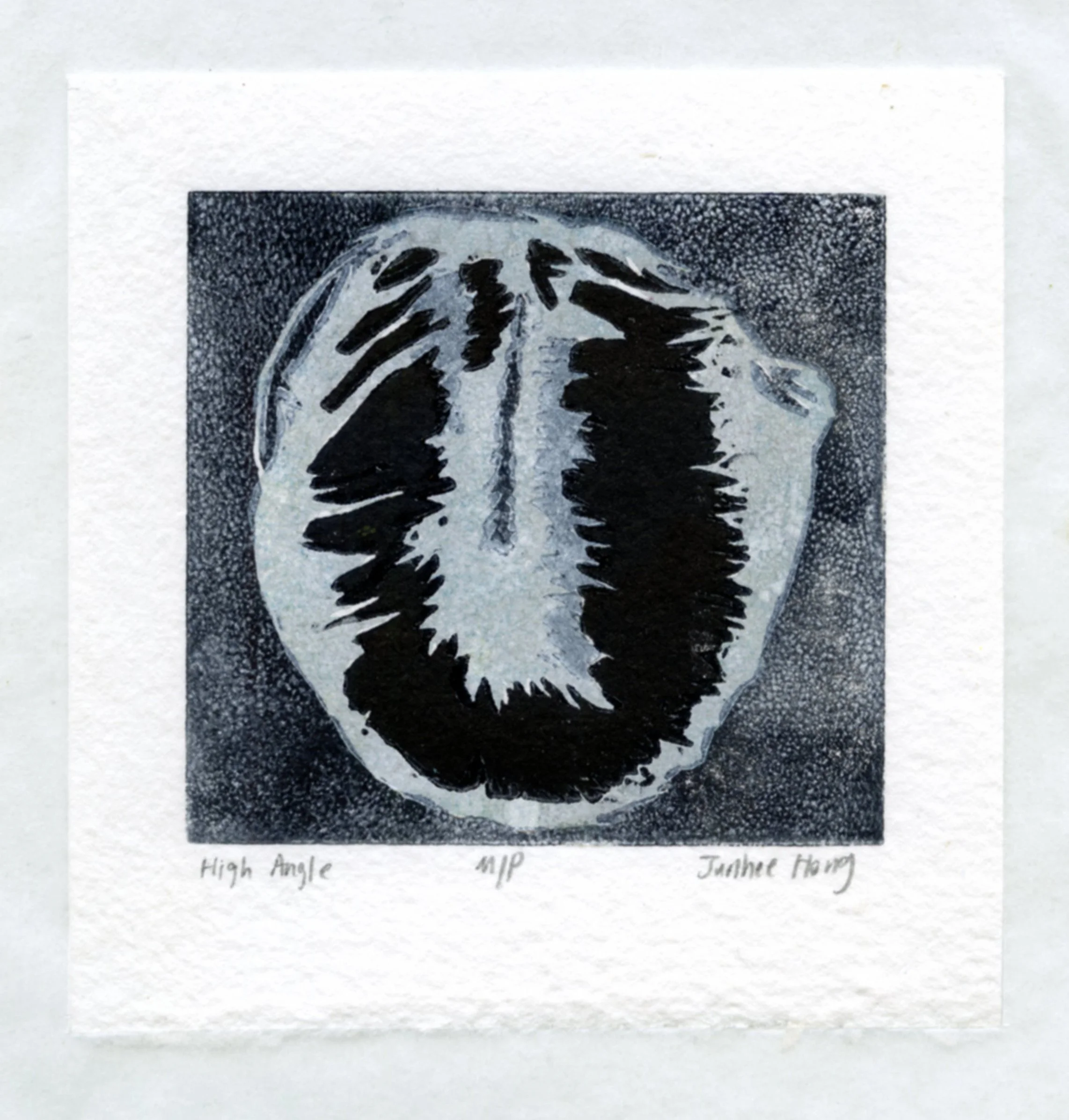 High Angle

2024

woodcut on paper

2.5"x2.5"