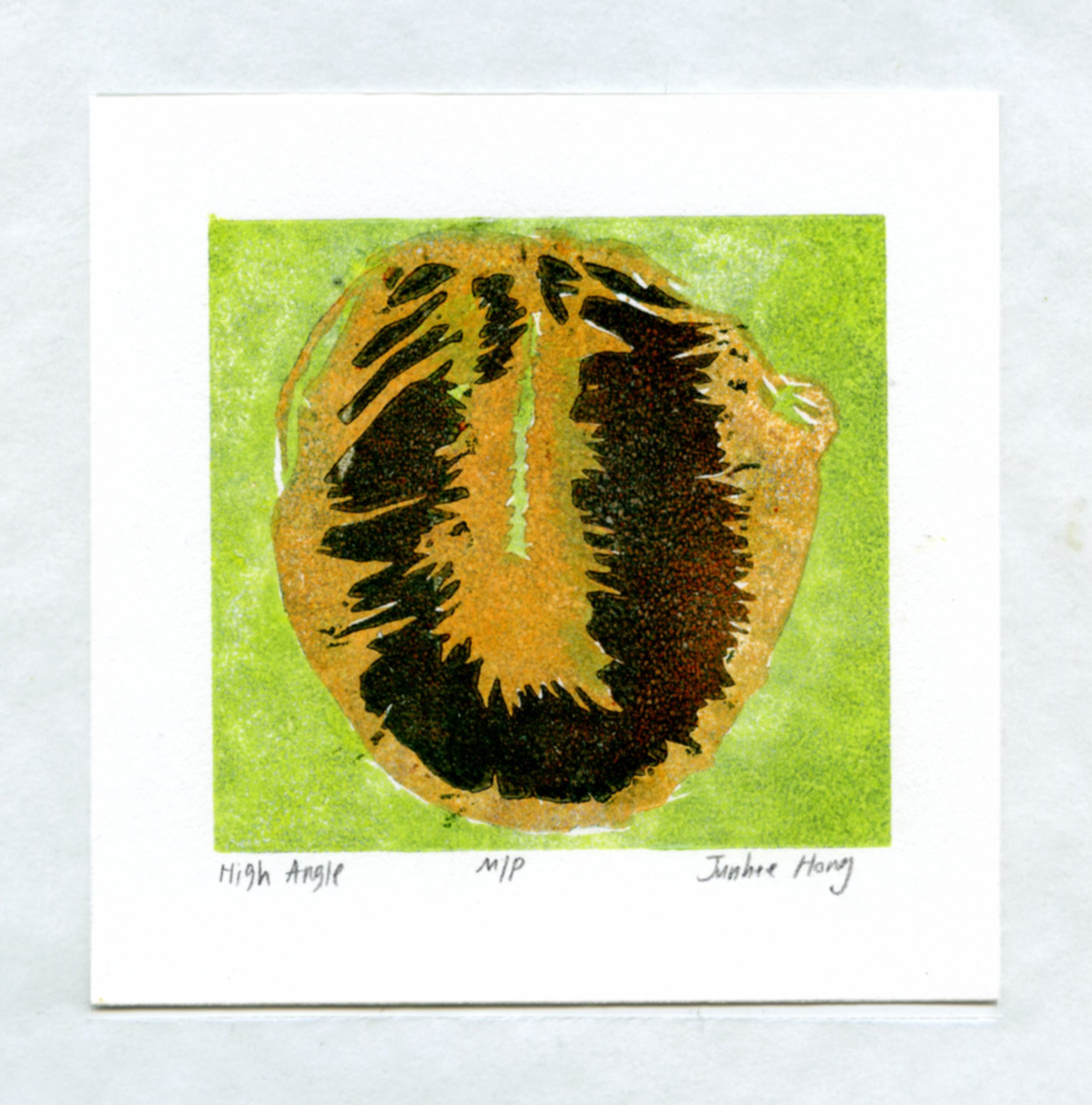 High Angle

2024

woodcut on paper

2.5"x2.5"