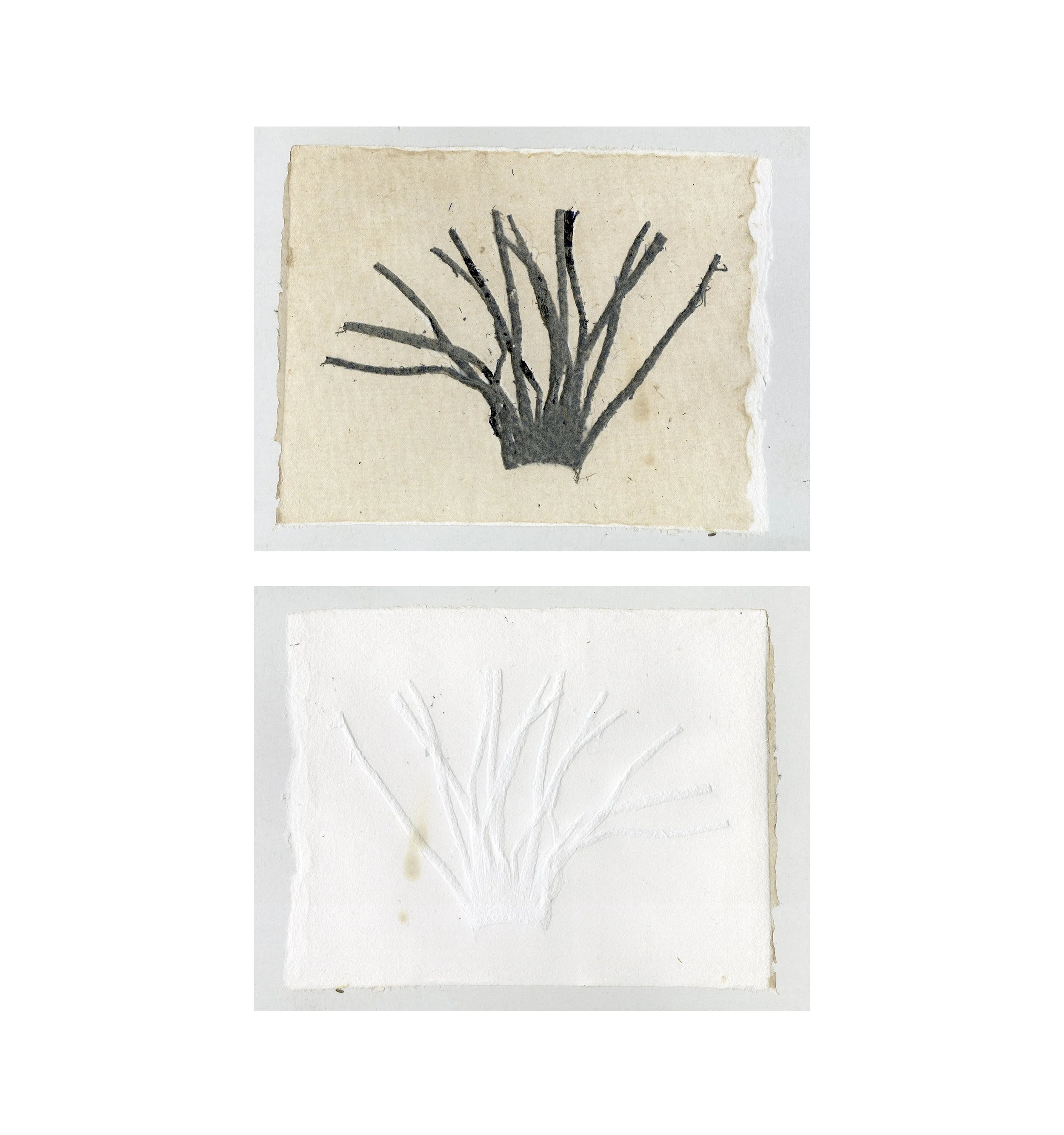 Paper Fabric Collision

2024

fabric pieces on handmade cotton/abaca skin paper

8"x10"