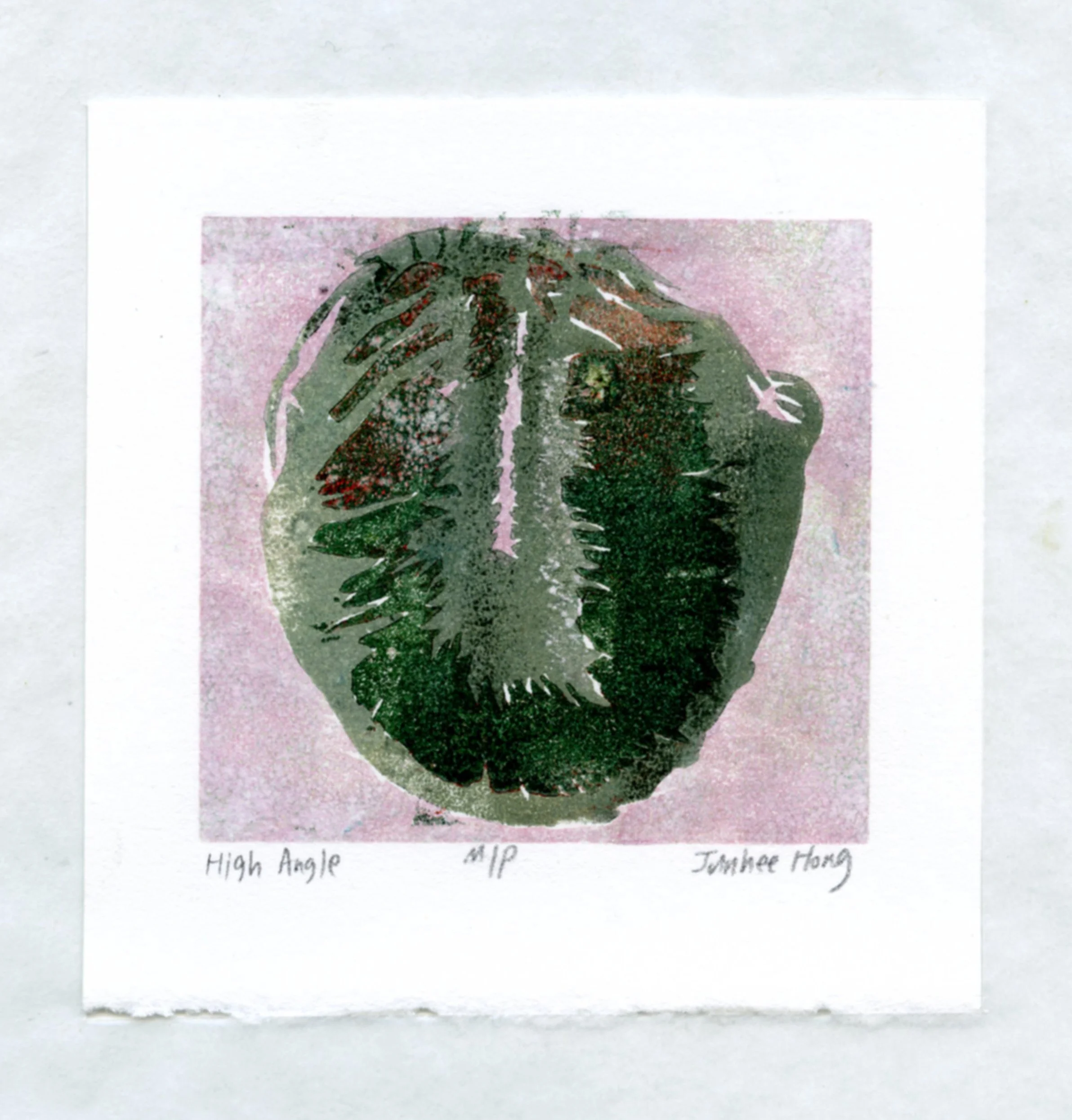 High Angle

2024

woodcut on paper

2.5"x2.5"