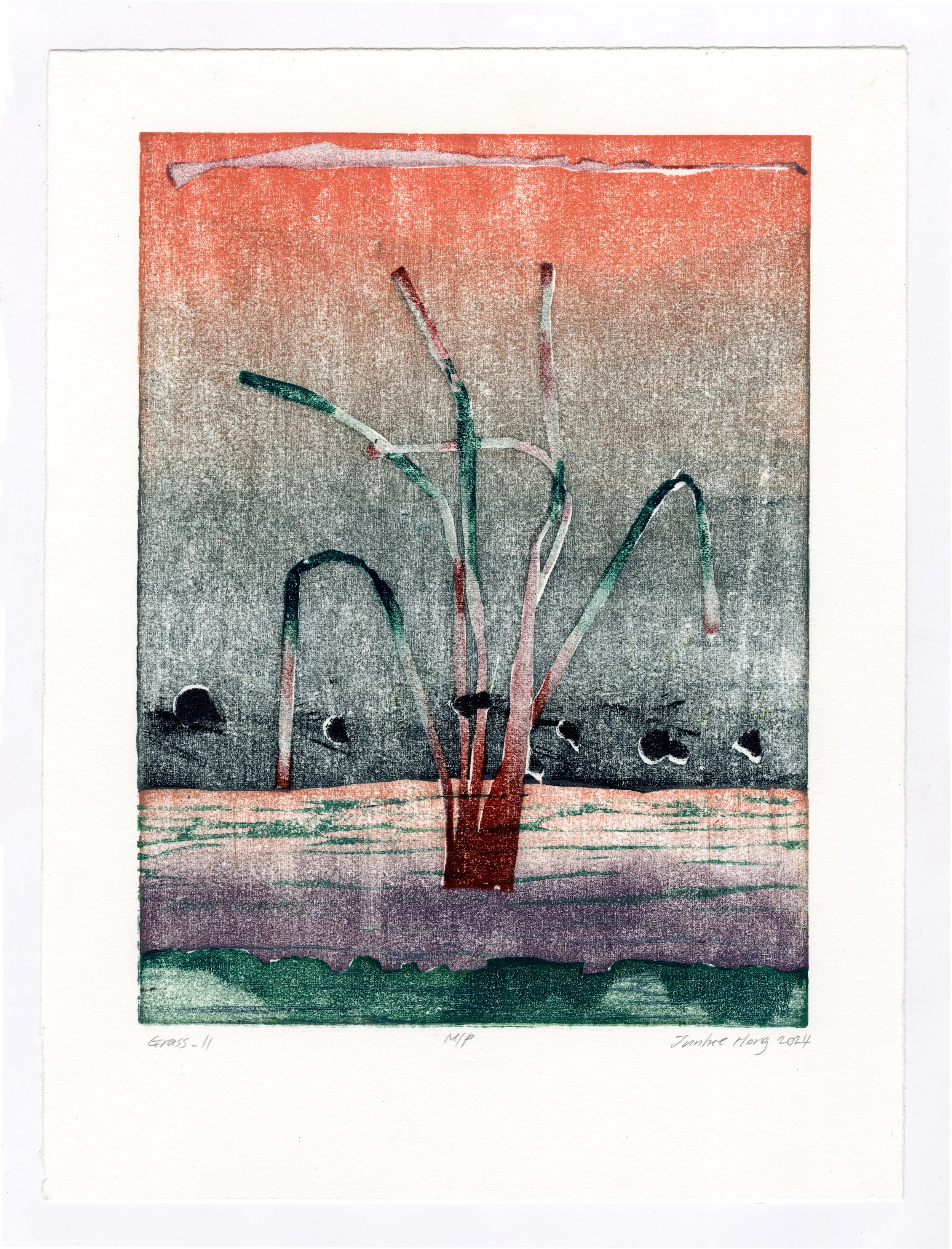 Grass_II.jpg