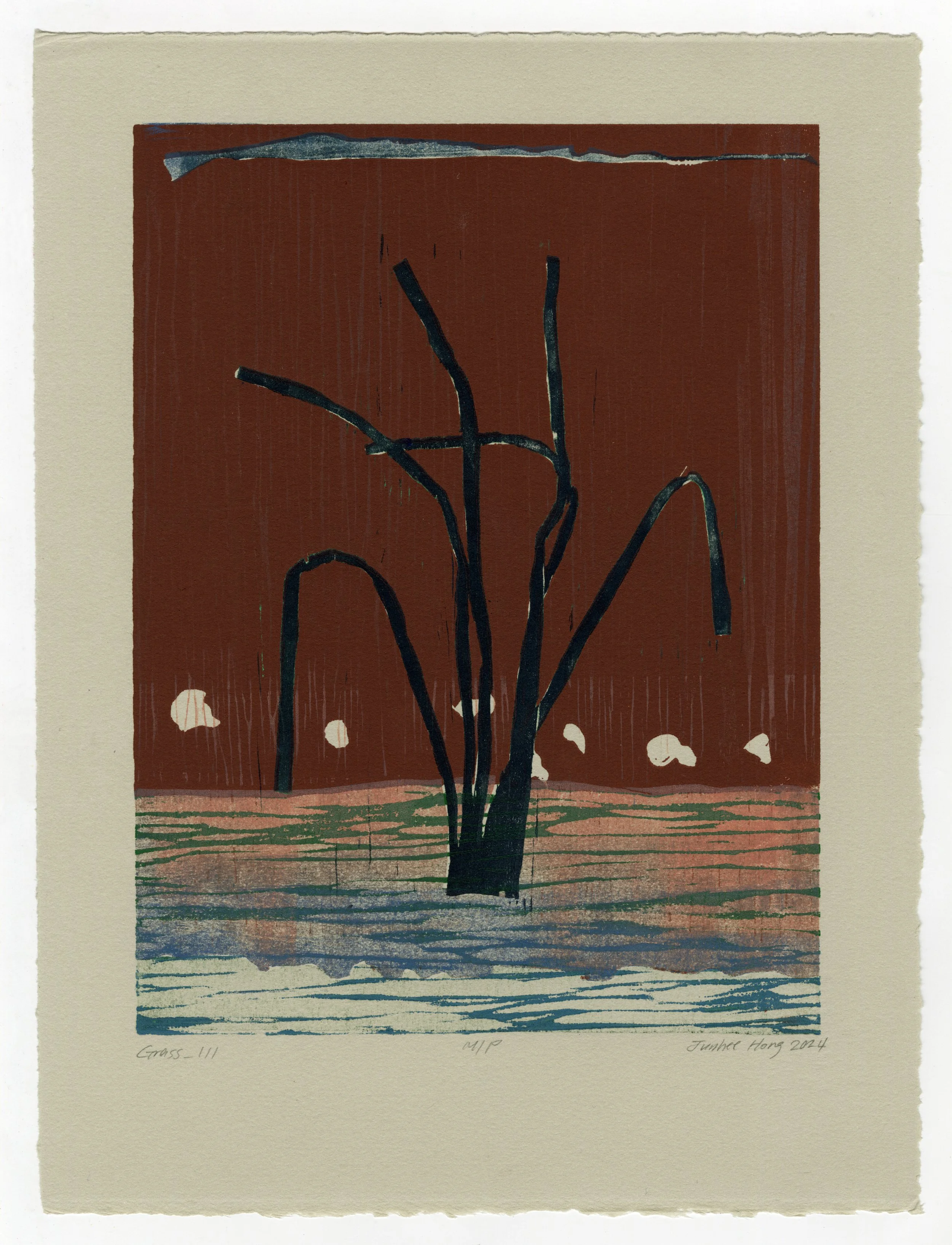 Grass_III.jpg