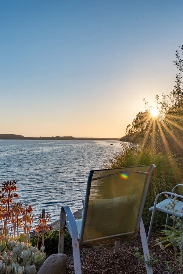 A peaceful lakeside scene at sunset with chairs, plants, and calm water.