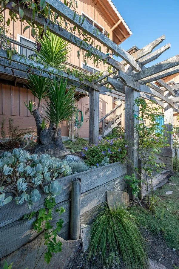 A garden with a wooden raised bed filled with succulents, a tall spiky plant, and various green plants growing around a rustic wooden pergola structure against a house with a staircase, under a clear blue sky.