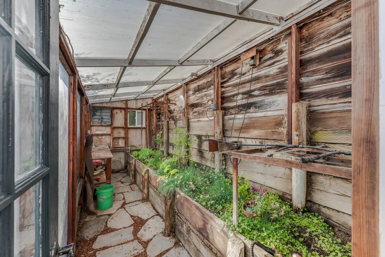 A rustic greenhouse with wooden walls and a clear roof, containing lush green plants growing in a garden bed along one side, with a stone pathway and gardening tools visible.