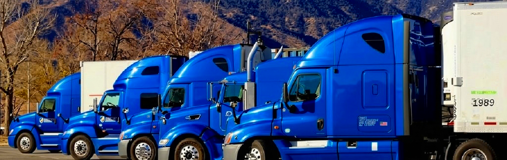 A line of blue semi-trucks with refrigerated trailer units parked side by side on a sunny day.