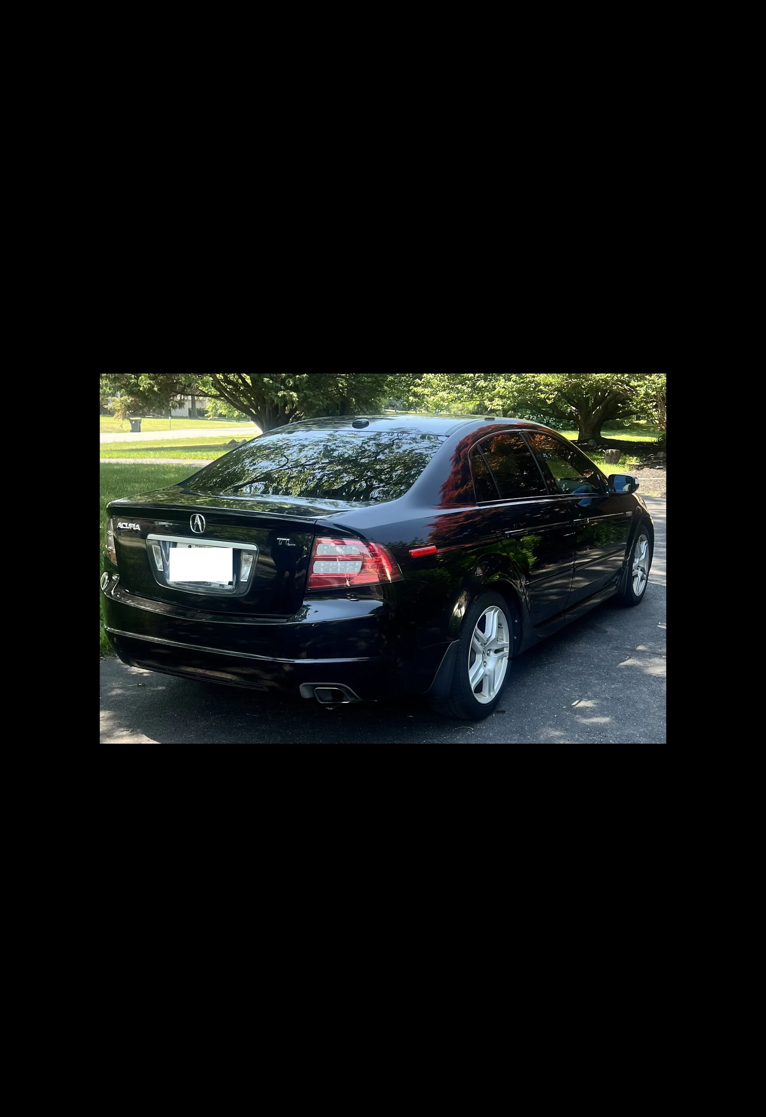 IMG_2977.jpeg