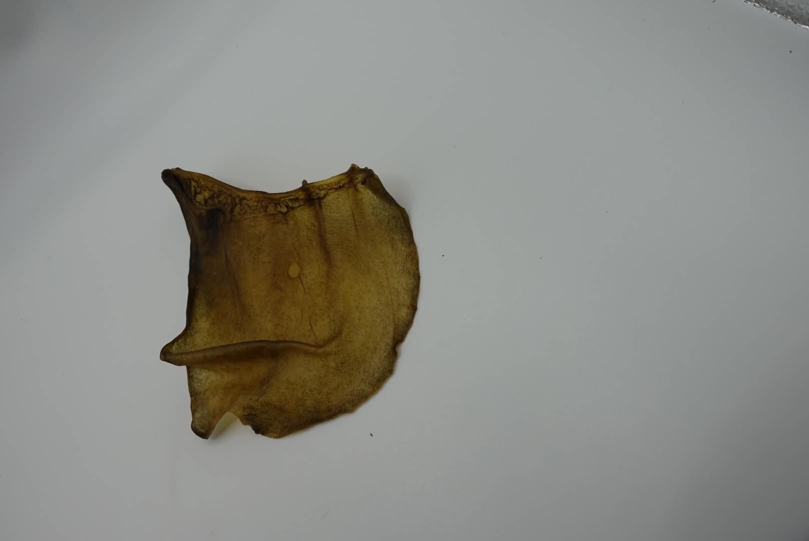 Beef Ears