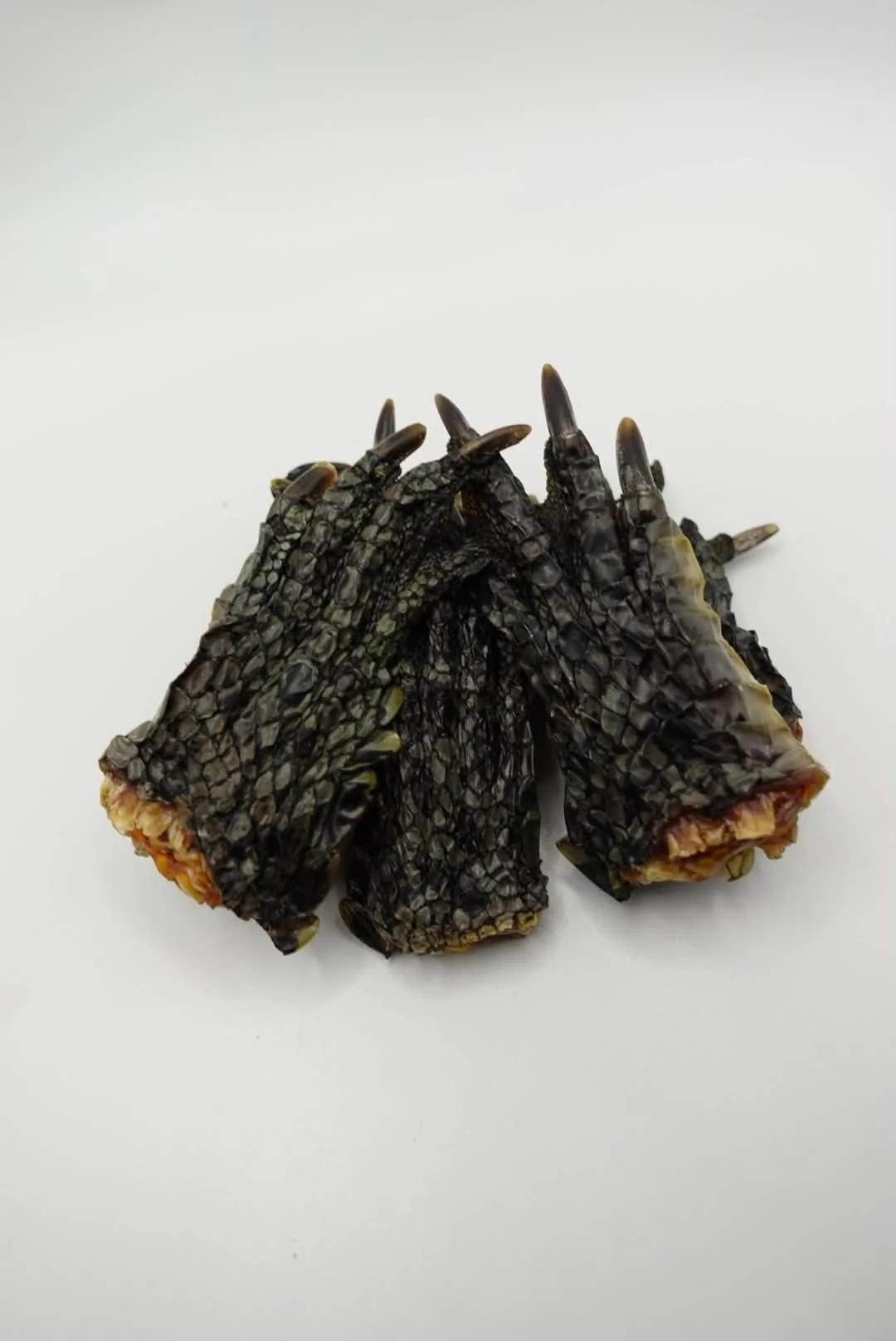Crocodile Feet 90g