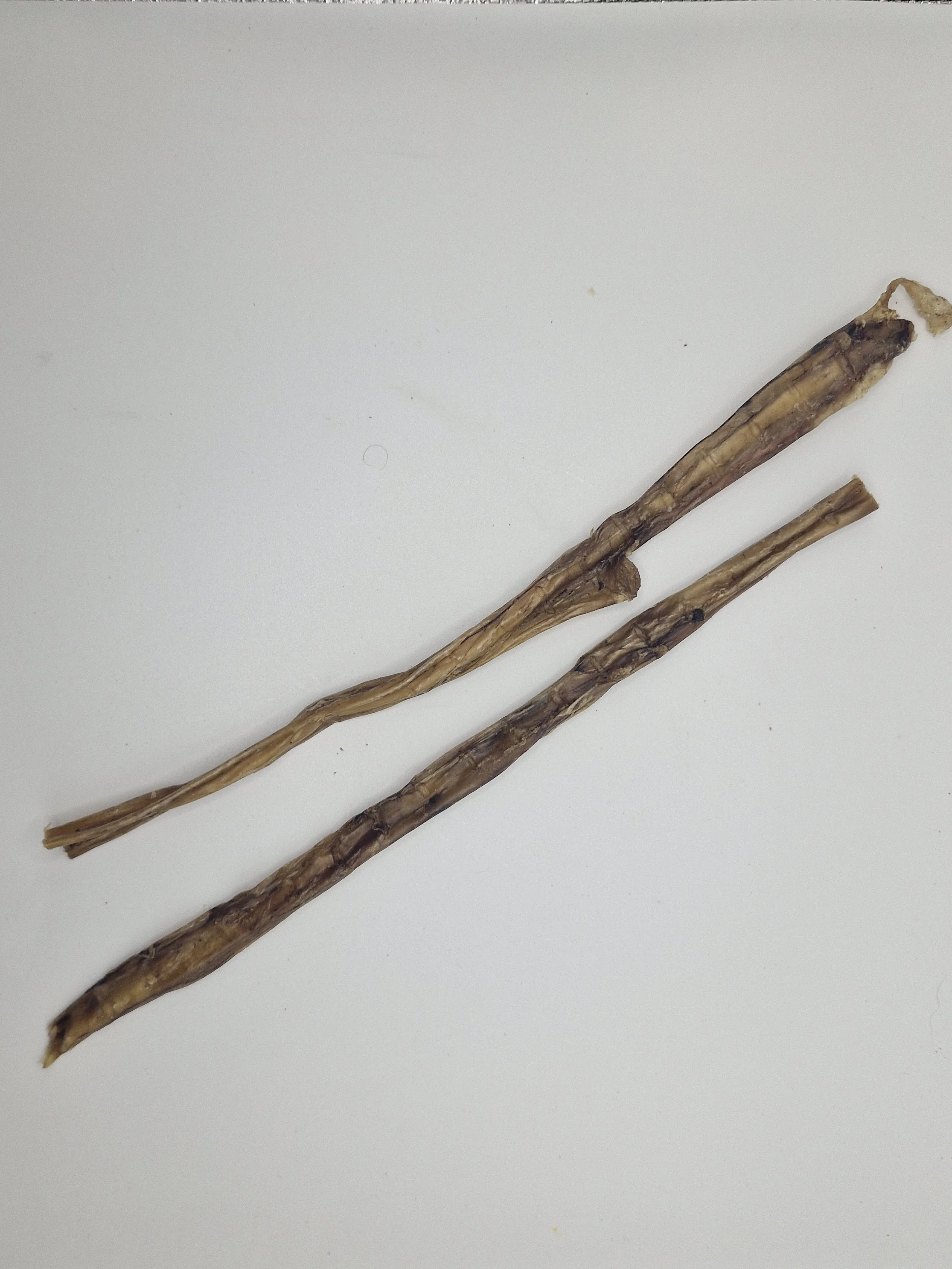 Beef Pizzle (thin)