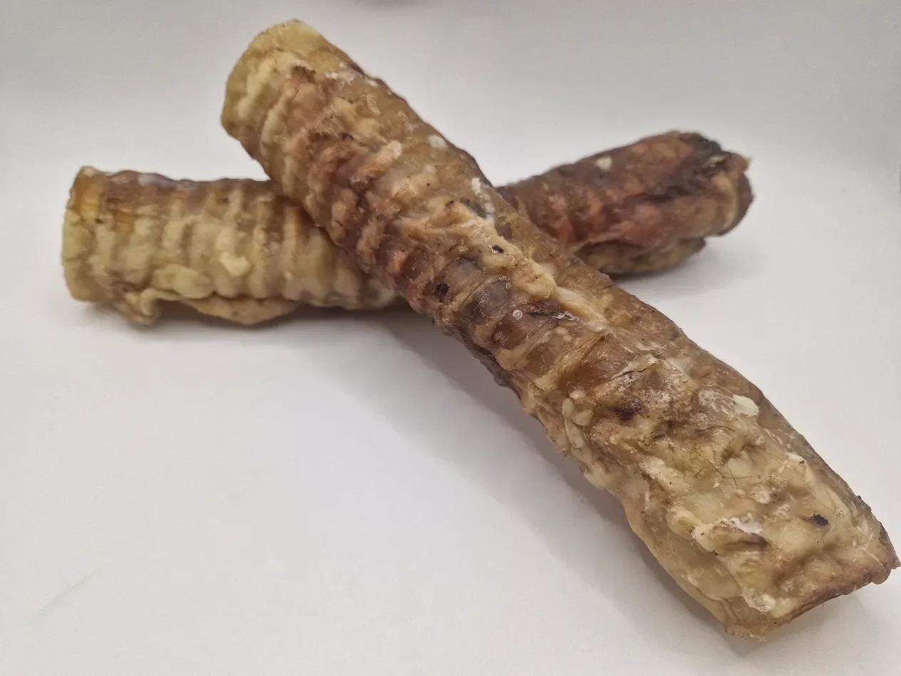 Beef Trachea