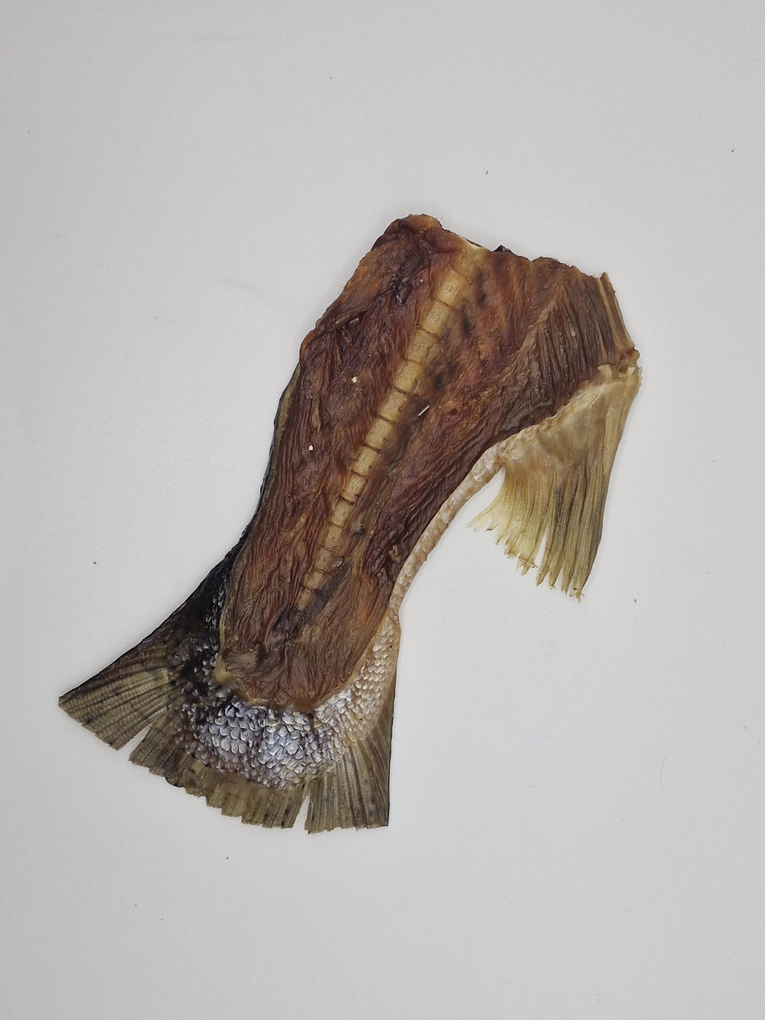 Salmon Tail