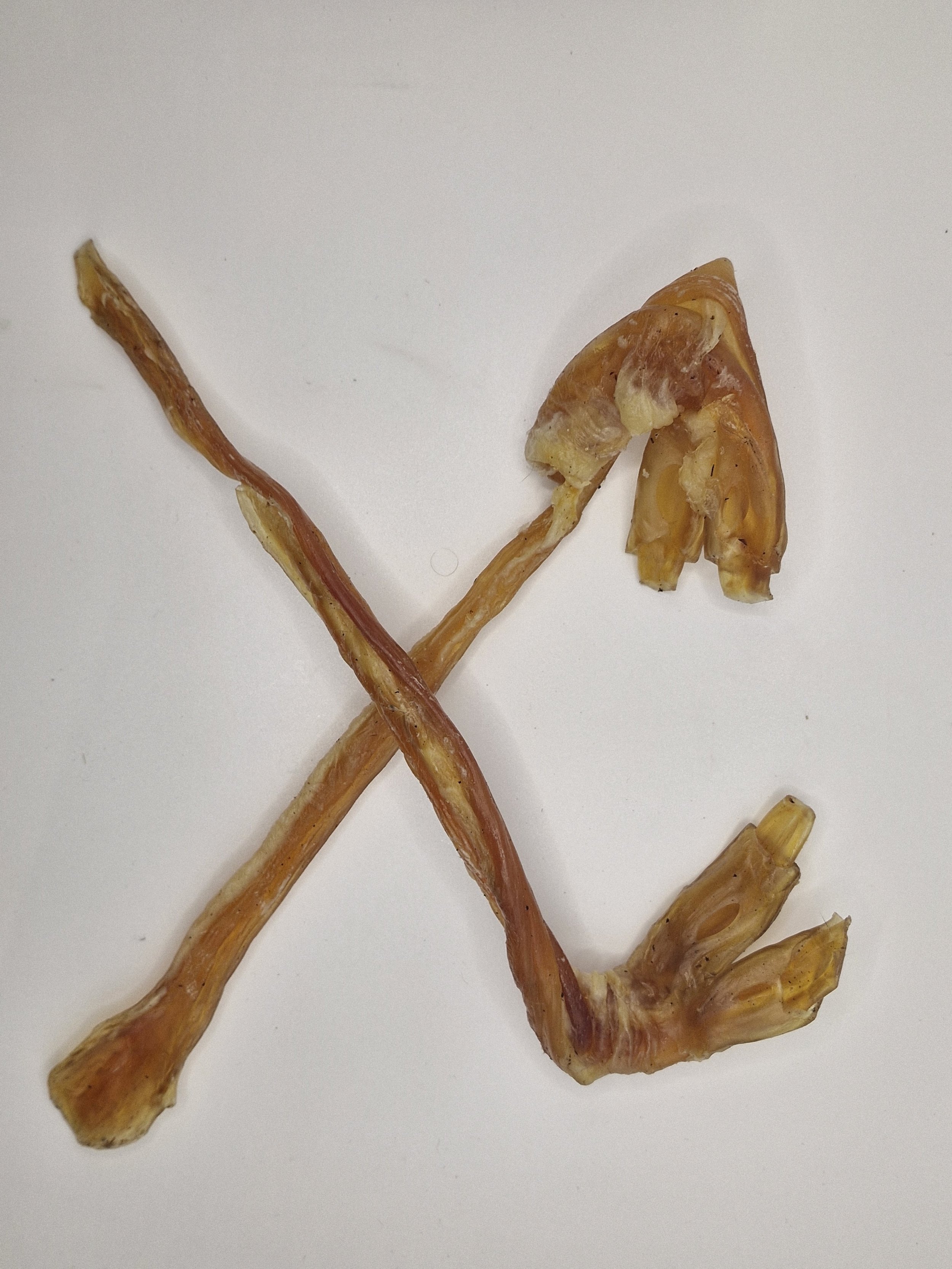 Beef Tendon (Achilles)