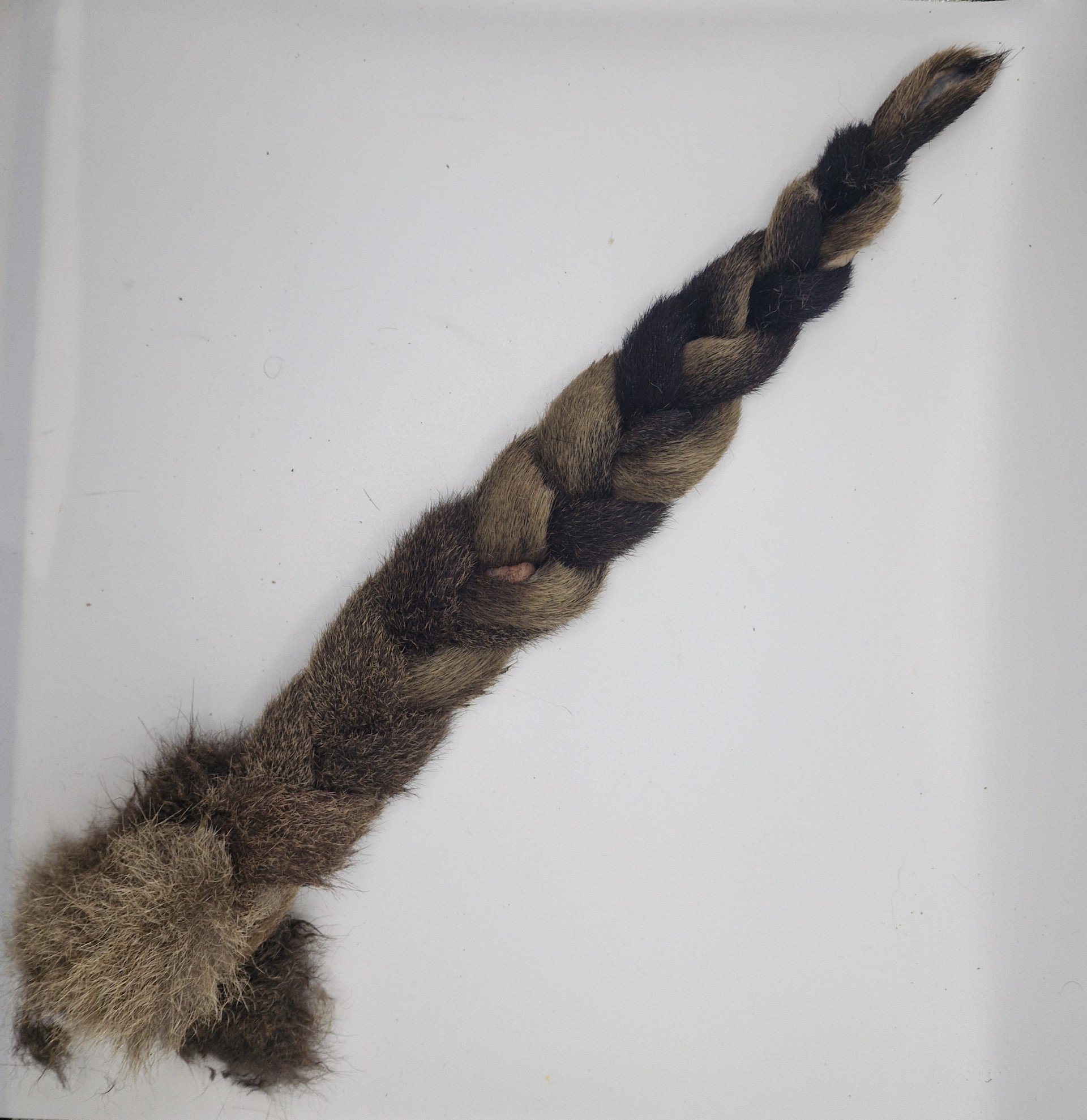 Kangaroo Tail Plait