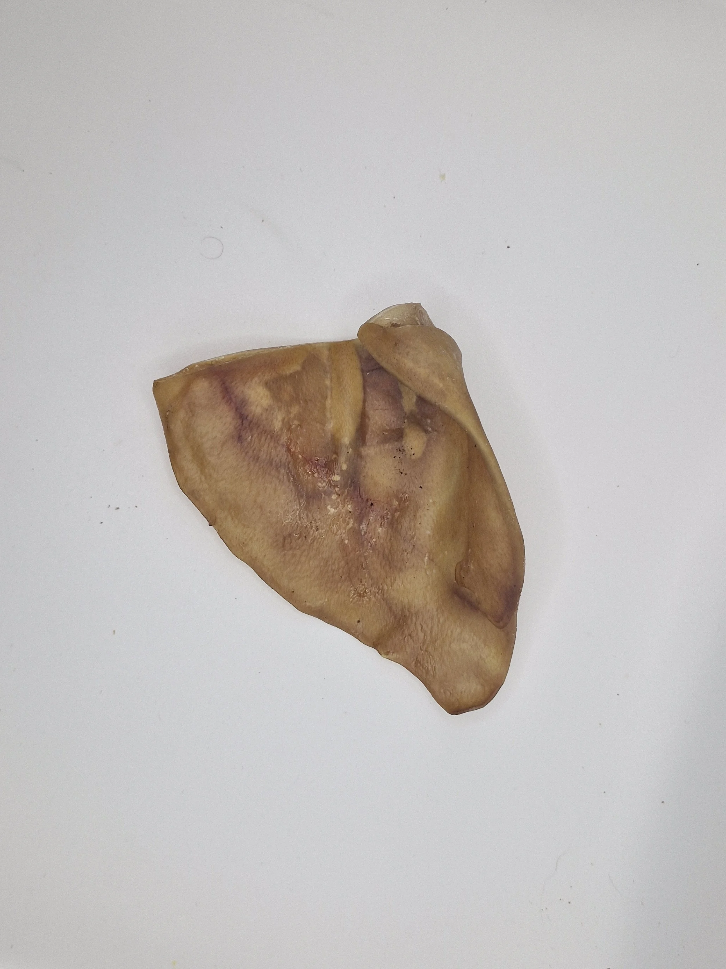 Pig Ear