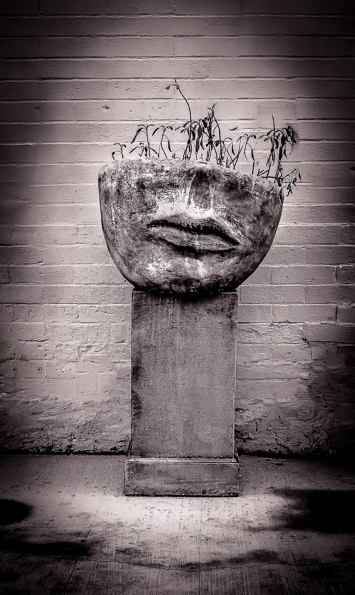 A sculpture on a pedestal resembling a human face with closed eyes and lips, with plant-like features growing from the top, set against a brick wall.