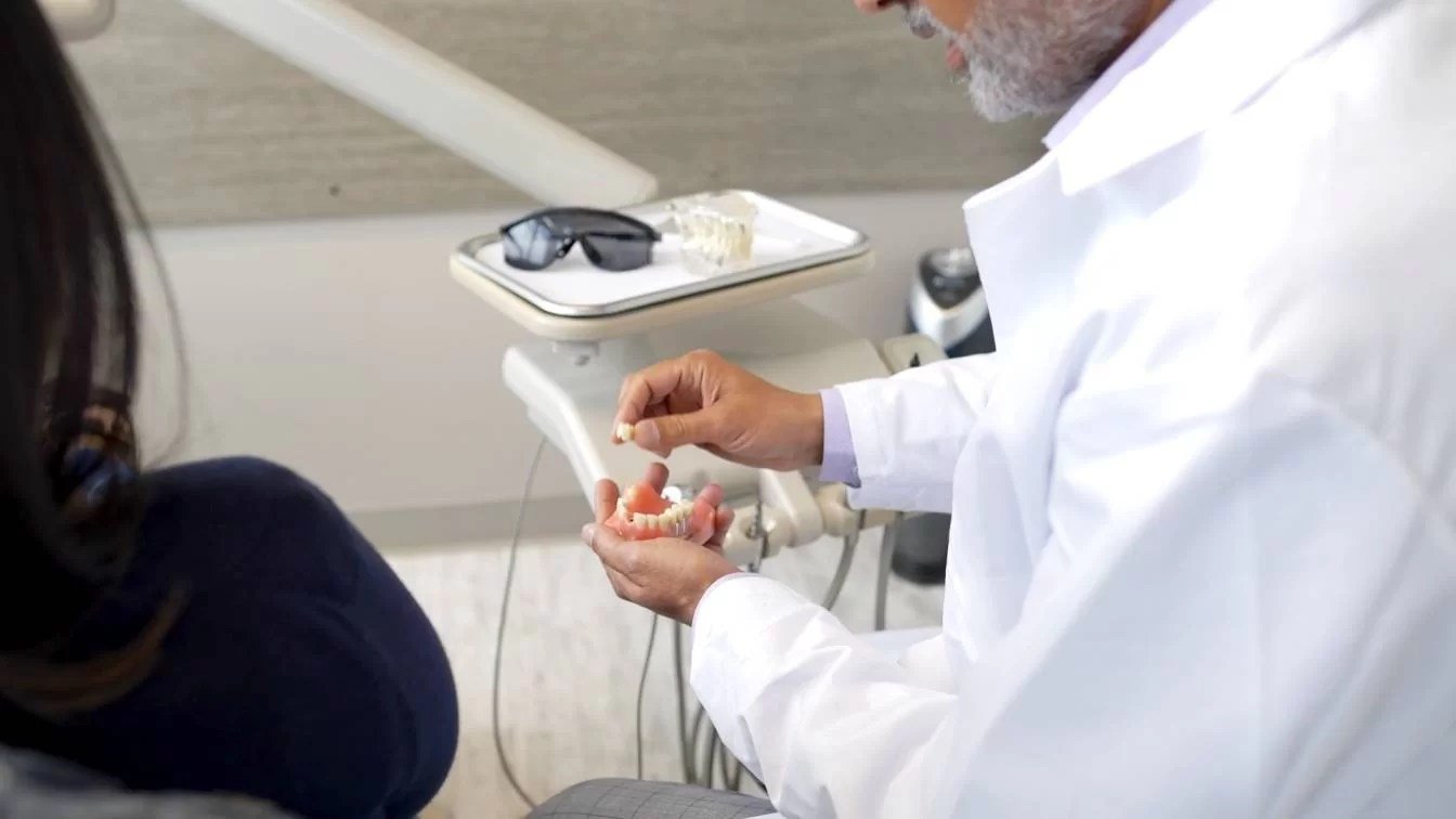 Dentist showing dental model to patient in a dental office.