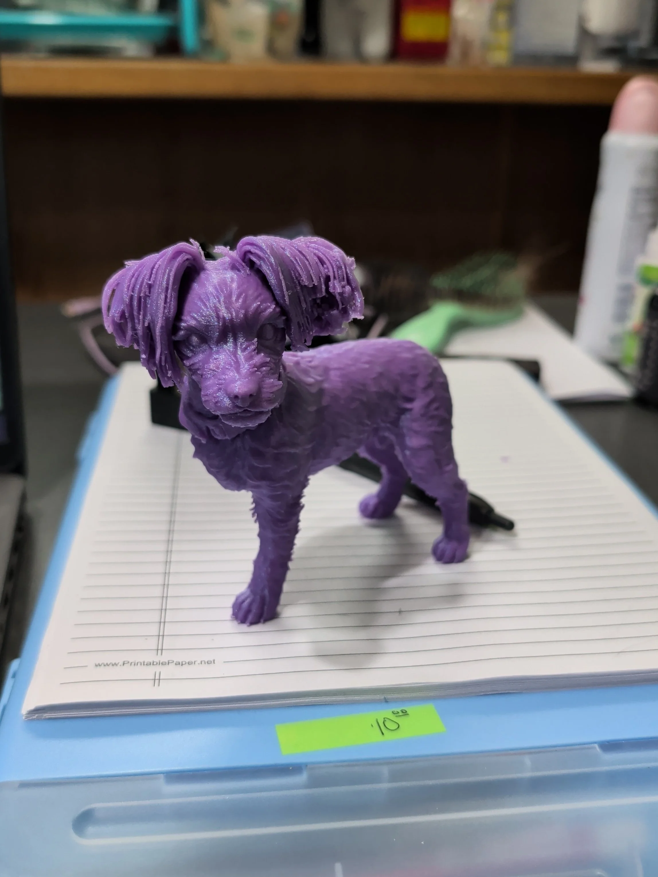 Custom 3D Print from Photo