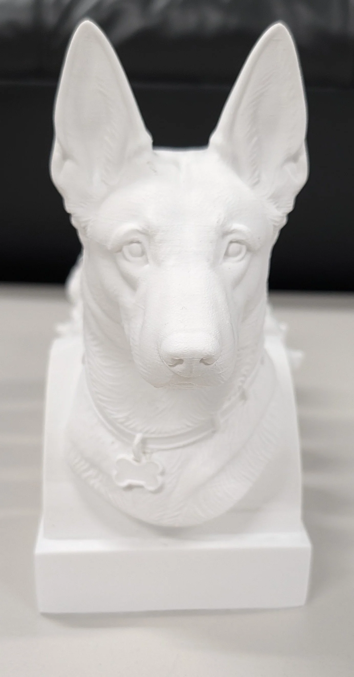 illa 3d bust print.jpg