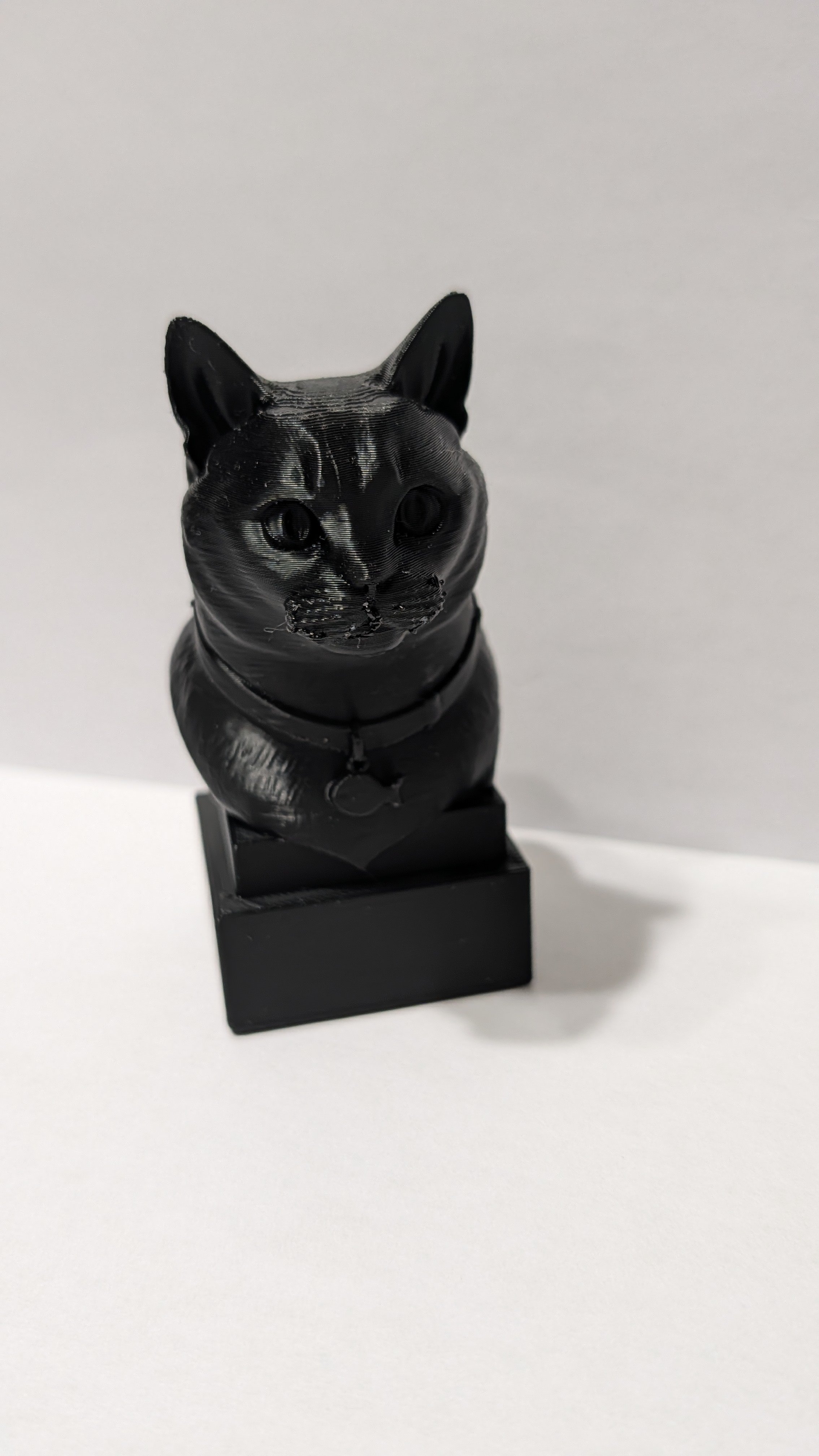 Cat Breed Busts