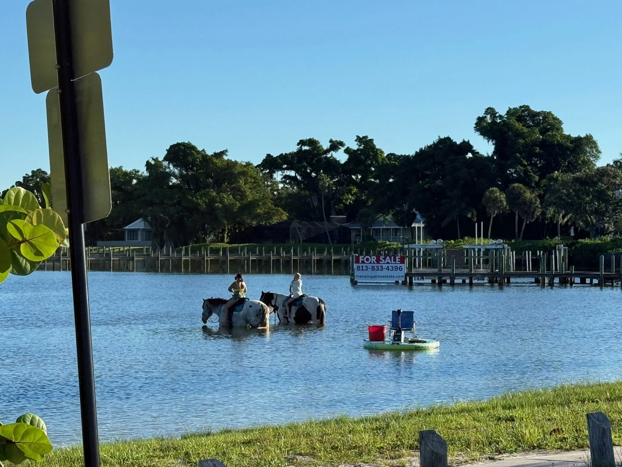 Riders on horseback wading in the water near waterfront homes