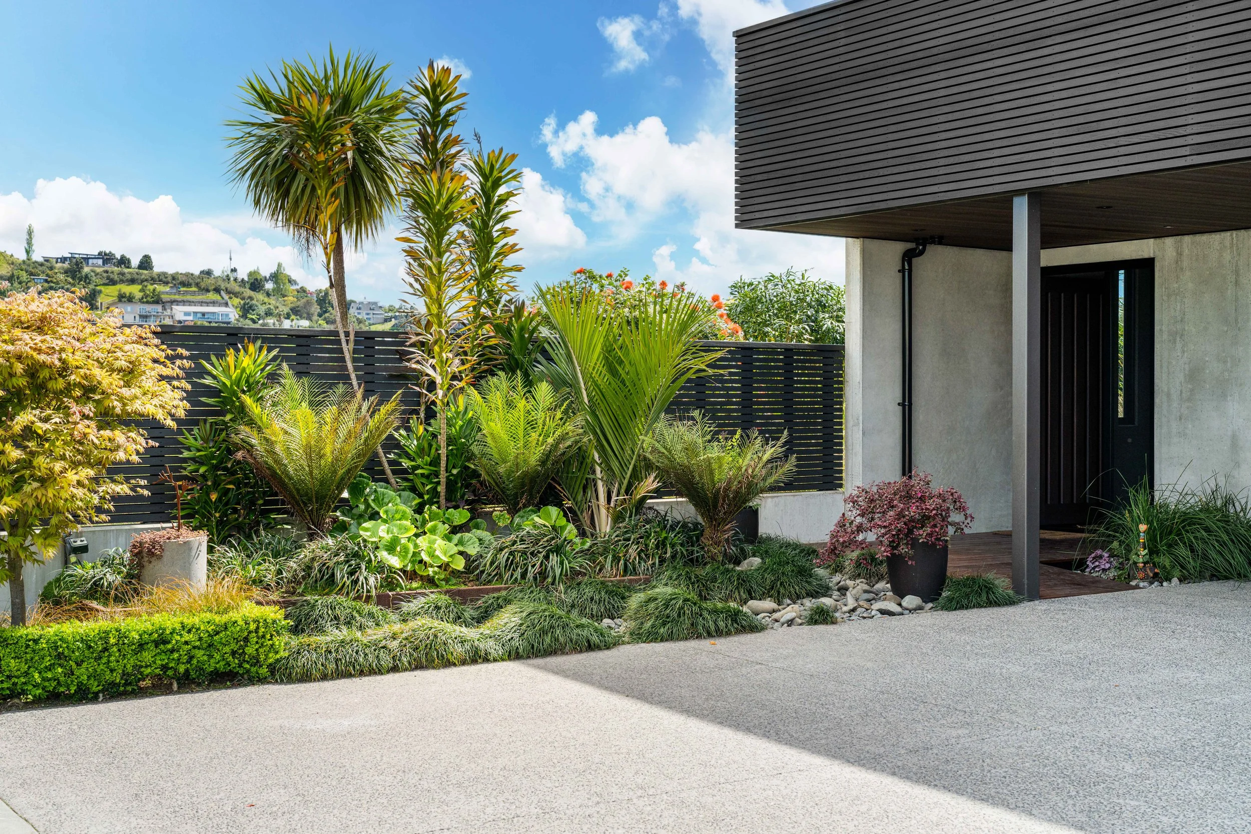 Modern house with a front garden featuring various green plants and flowers, a black wooden fence, and a concrete driveway under a blue sky with some clouds.