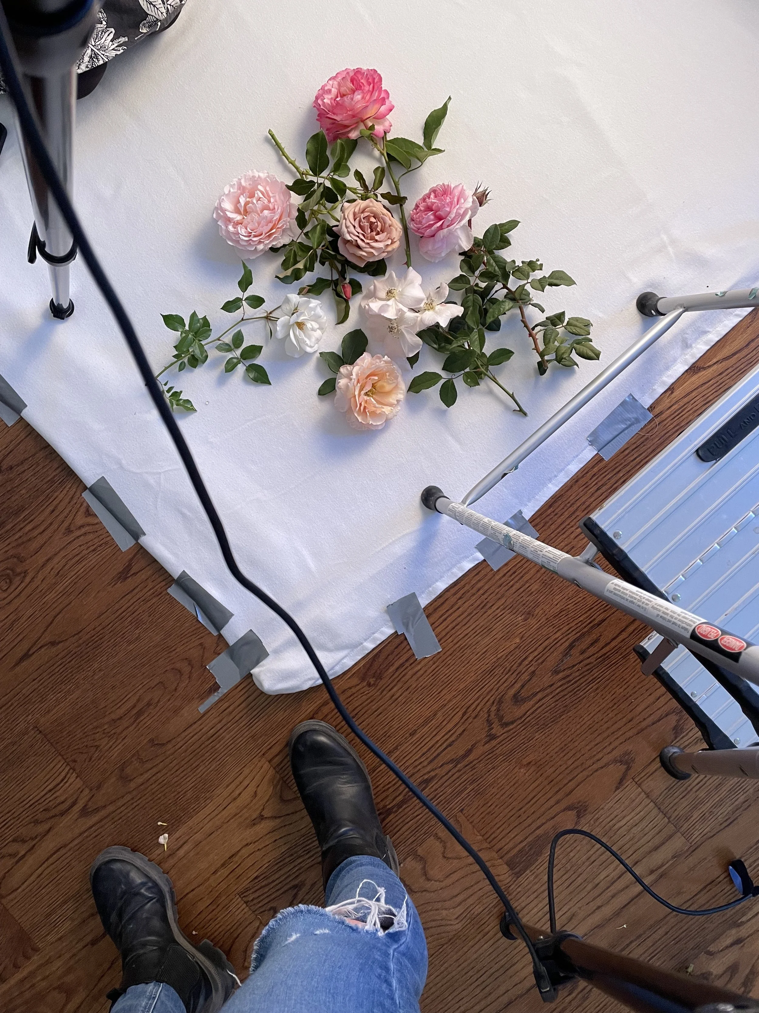 Arrangement of pink, white, and peach roses on a white surface, taken from a person's perspective, with photo equipment visible. Kelli Hart styled this flat lay for the title page of 'Garden Roses', a book by Gracielinda Poulson.