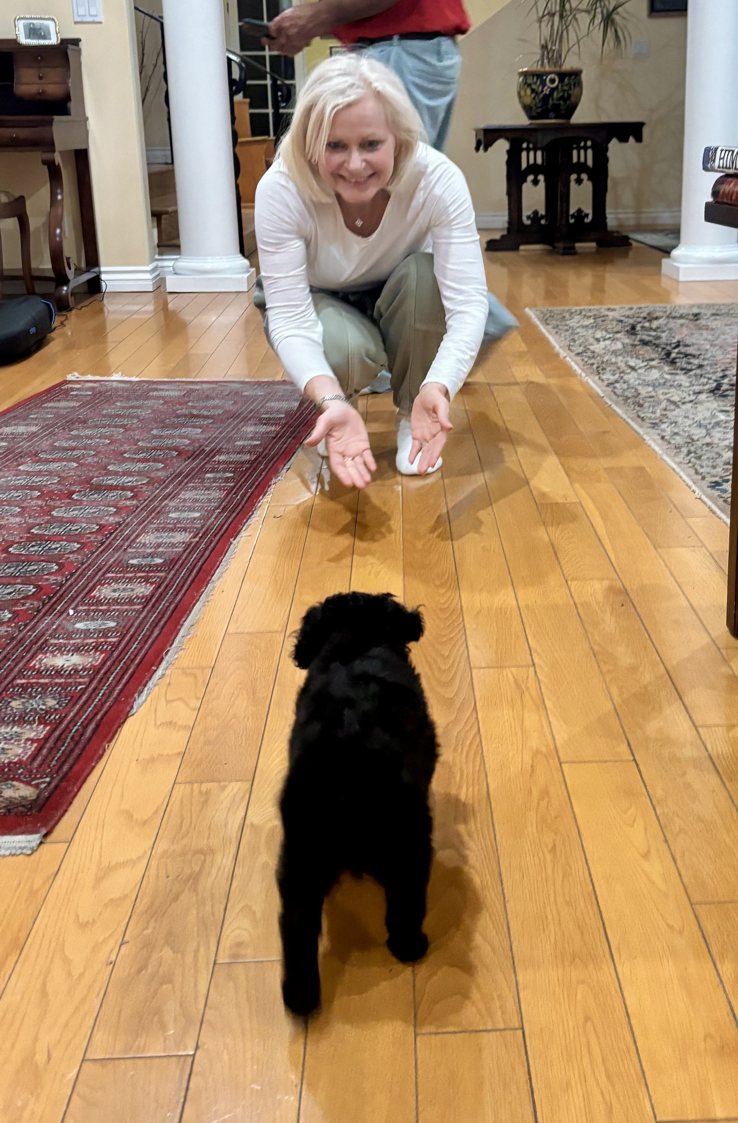 Smiling woman sitting on a hardwood floor with a small black dog in a warmly furnished living room