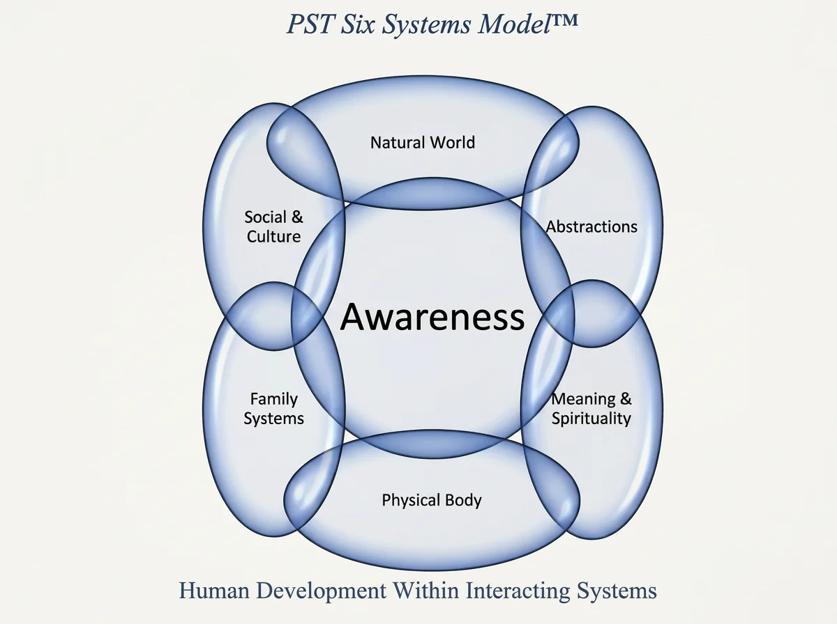PST Six Systems Model diagram showing Awareness at the center and six interacting systems: Natural World, Abstractions, Meaning and Spirituality, Physical Body, Family Systems, and Social and Culture.