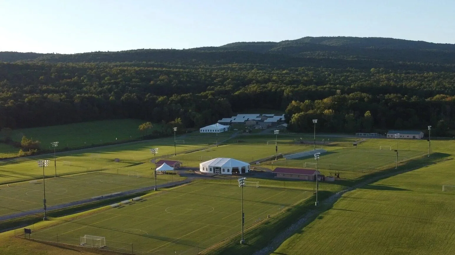 golden-goal-grass-fields.jpg
