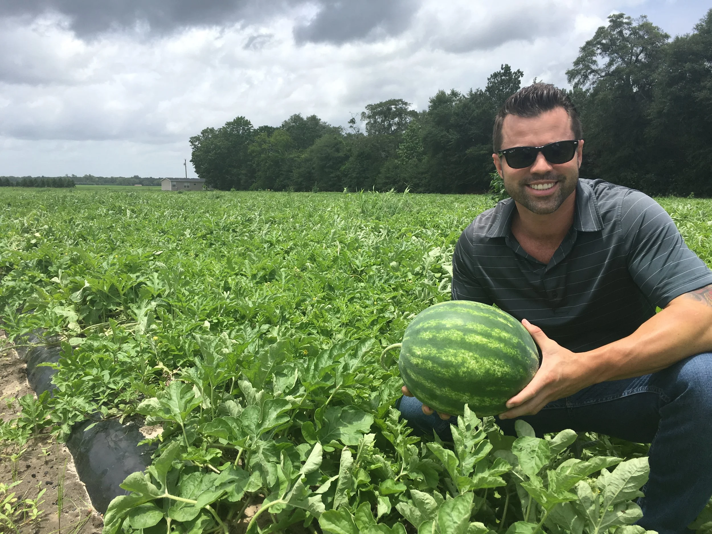 Florida Grown Watermelons
